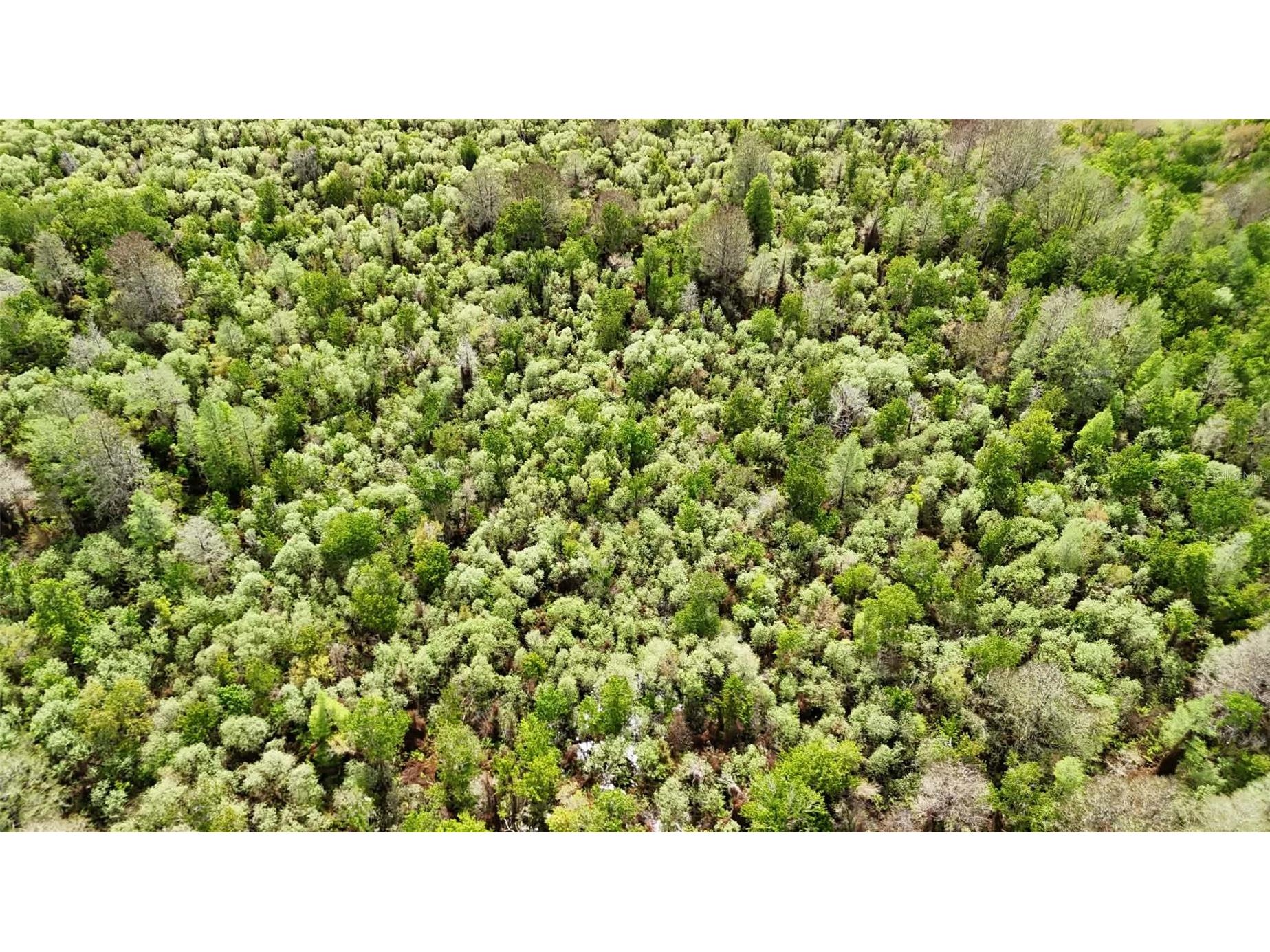 Gillette Road Zolfo Springs FL 33890 P4938092 image47