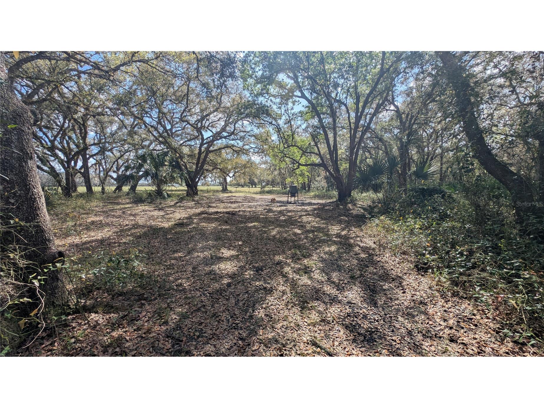 Gillette Road Zolfo Springs FL 33890 P4938092 image48