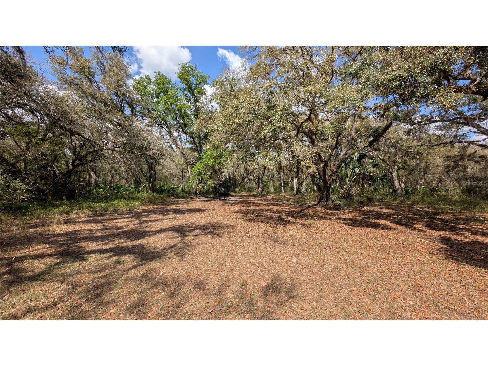 Gillette Road Zolfo Springs FL 33890 P4938092 image49