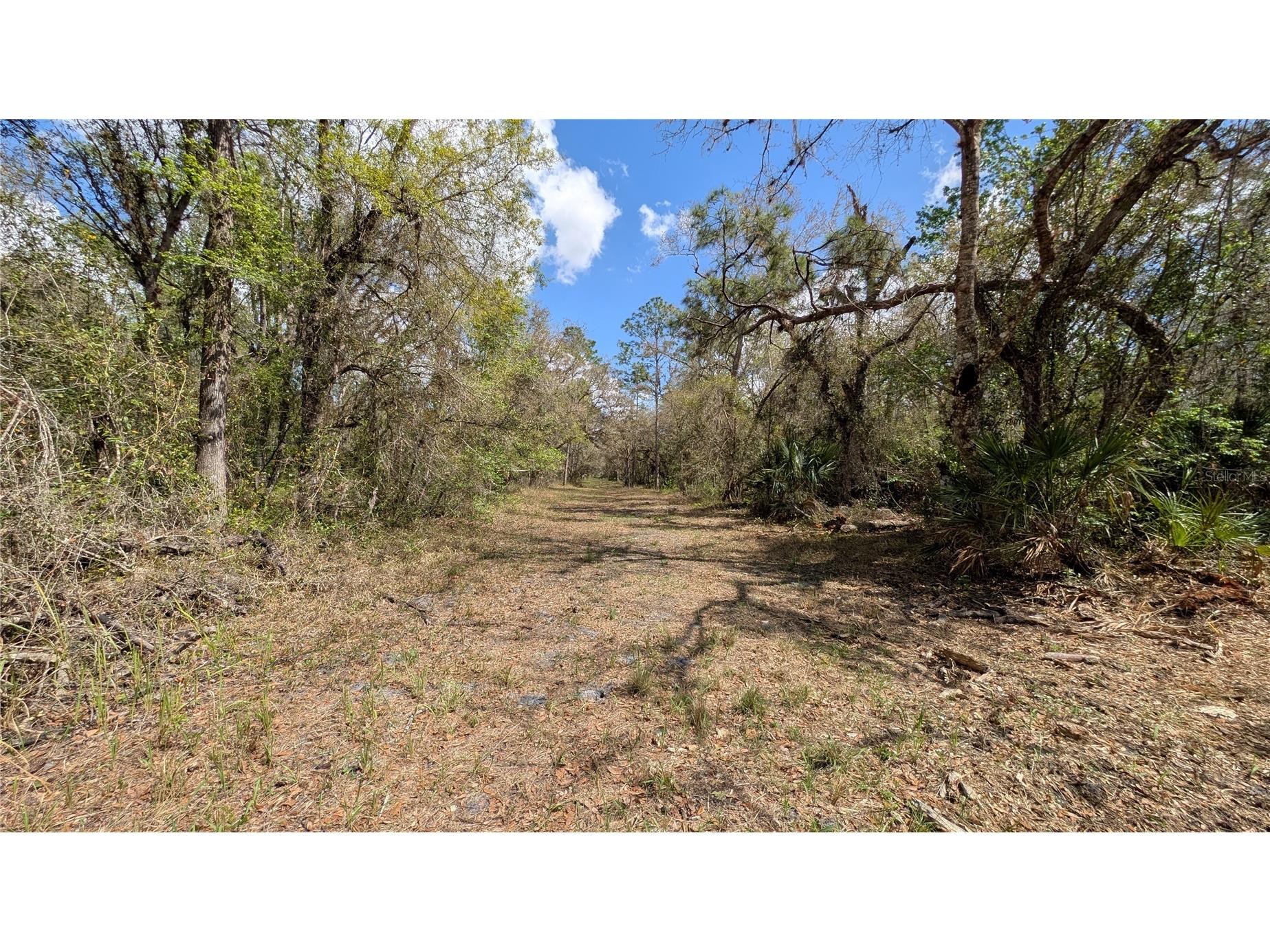 Gillette Road Zolfo Springs FL 33890 P4938092 image5