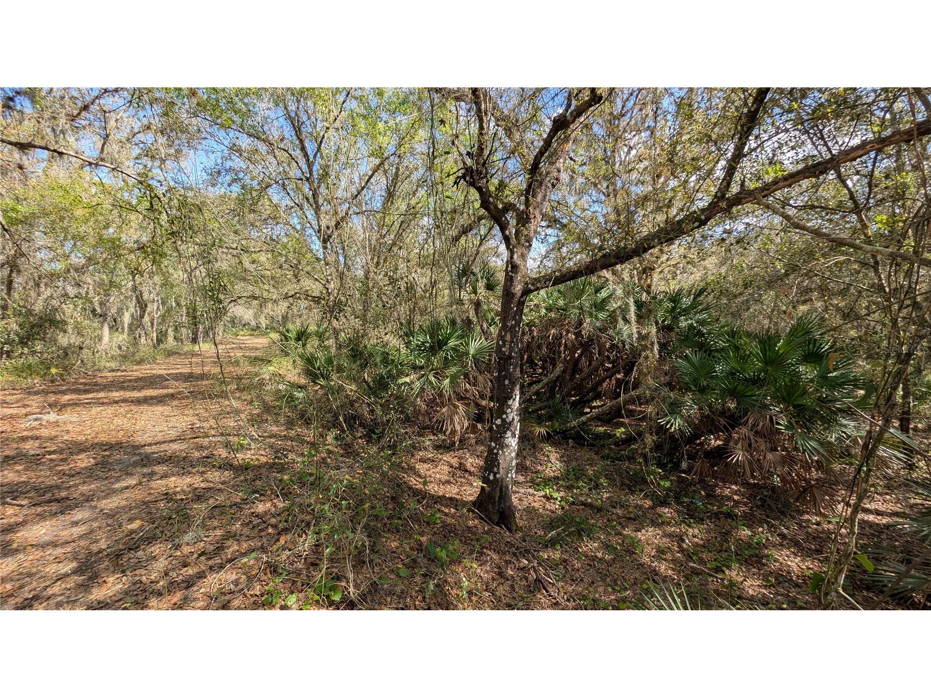 Gillette Road Zolfo Springs FL 33890 P4938092 image50