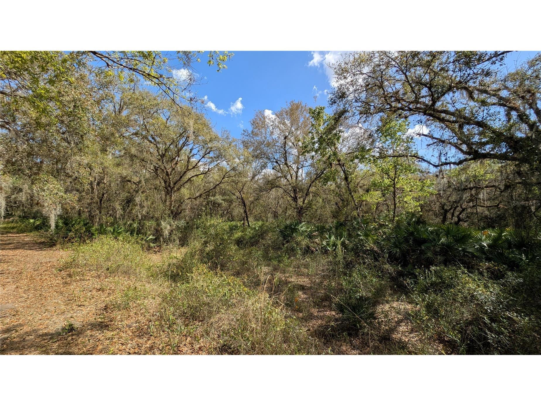 Gillette Road Zolfo Springs FL 33890 P4938092 image52