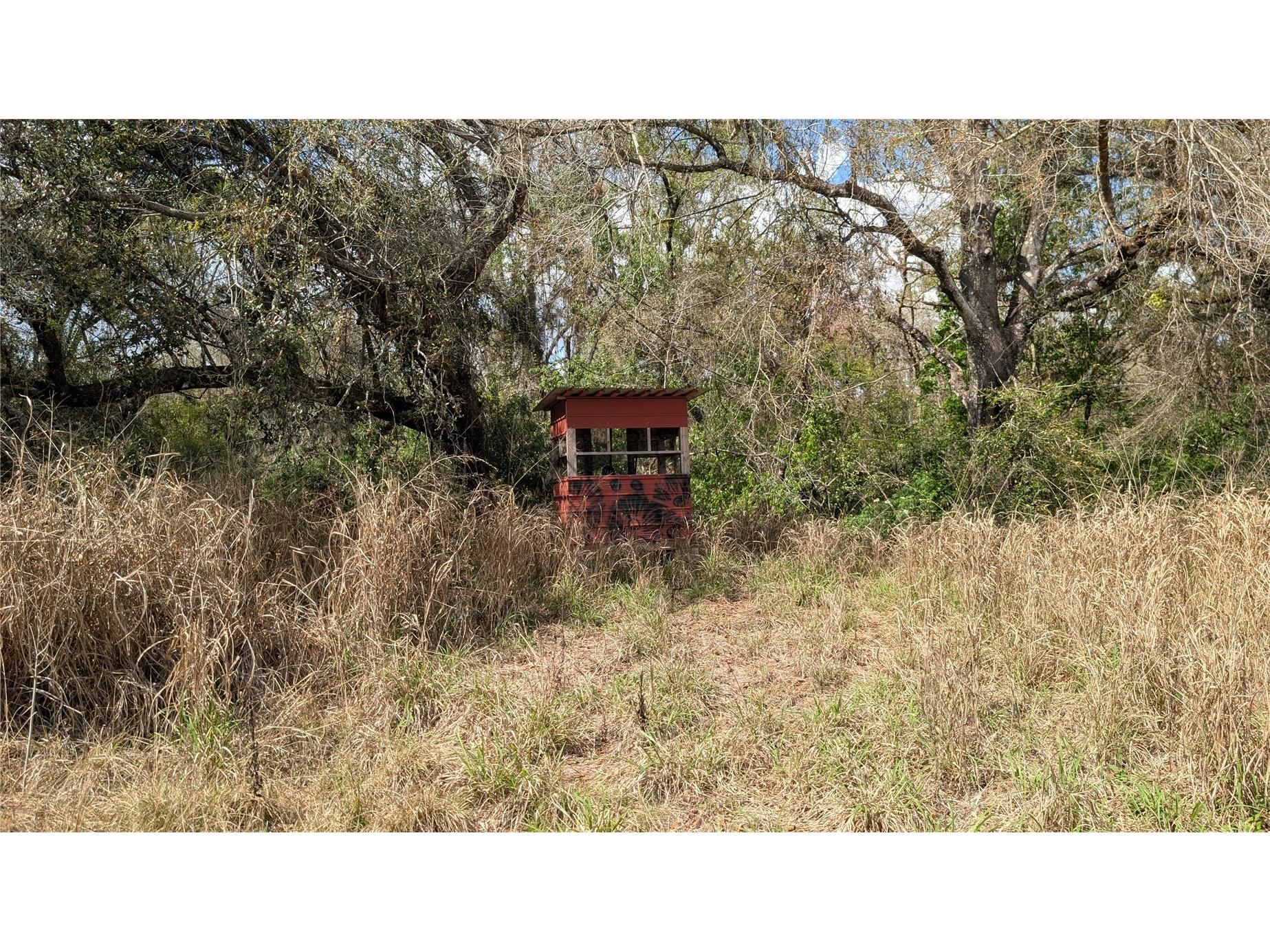 Gillette Road Zolfo Springs FL 33890 P4938092 image53