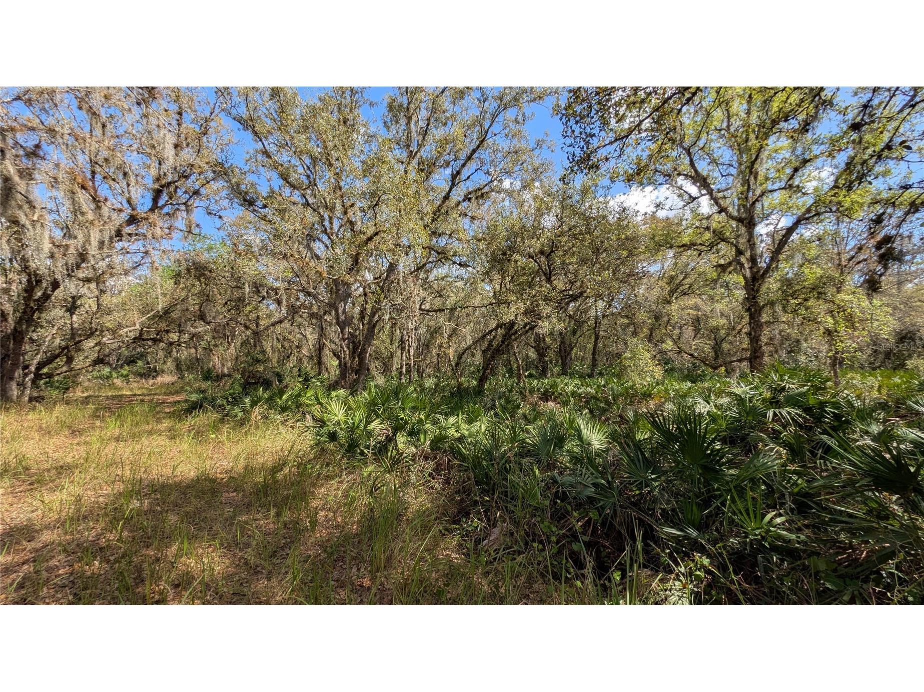 Gillette Road Zolfo Springs FL 33890 P4938092 image54