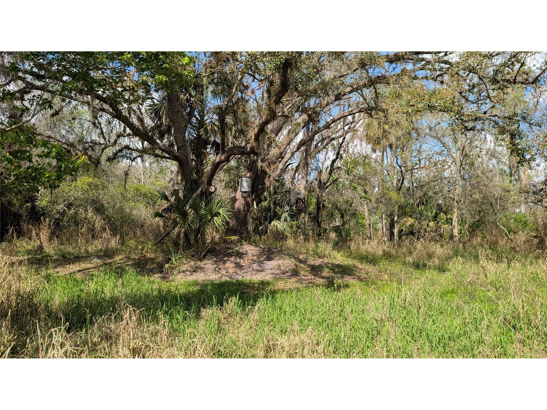 Gillette Road Zolfo Springs FL 33890 P4938092 image55