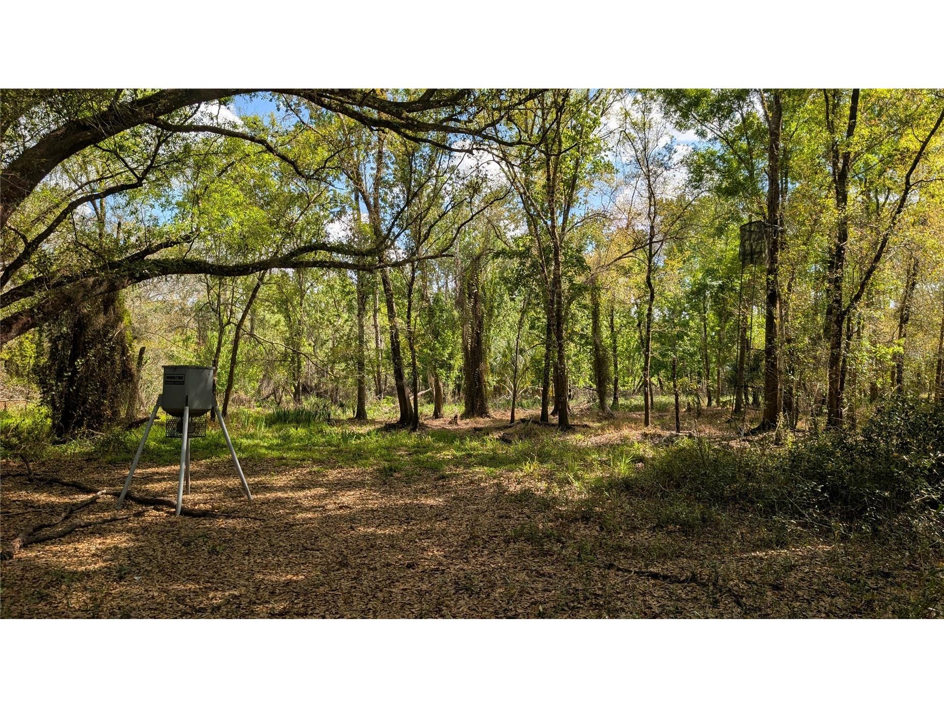 Gillette Road Zolfo Springs FL 33890 P4938092 image56