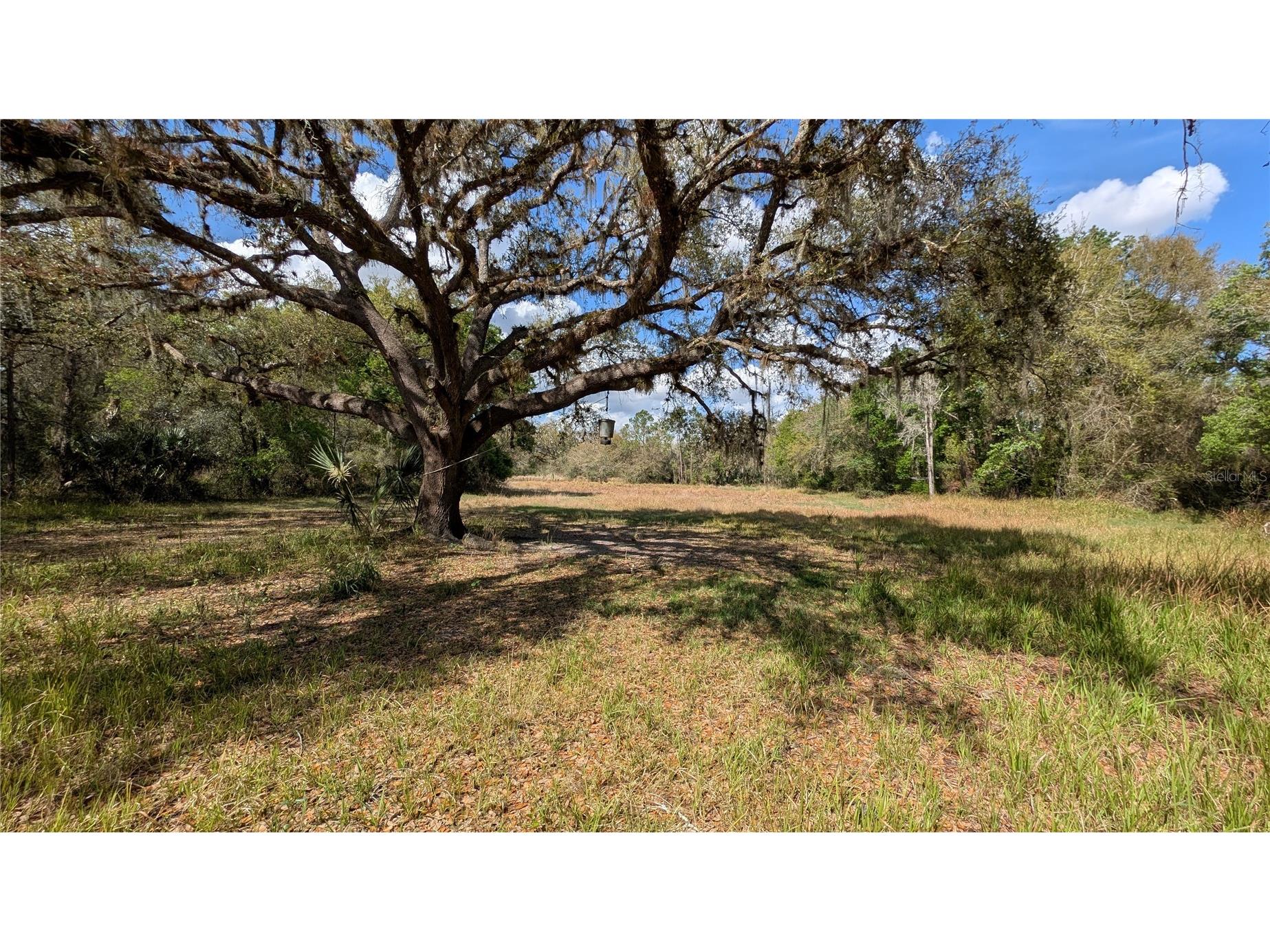 Gillette Road Zolfo Springs FL 33890 P4938092 image57