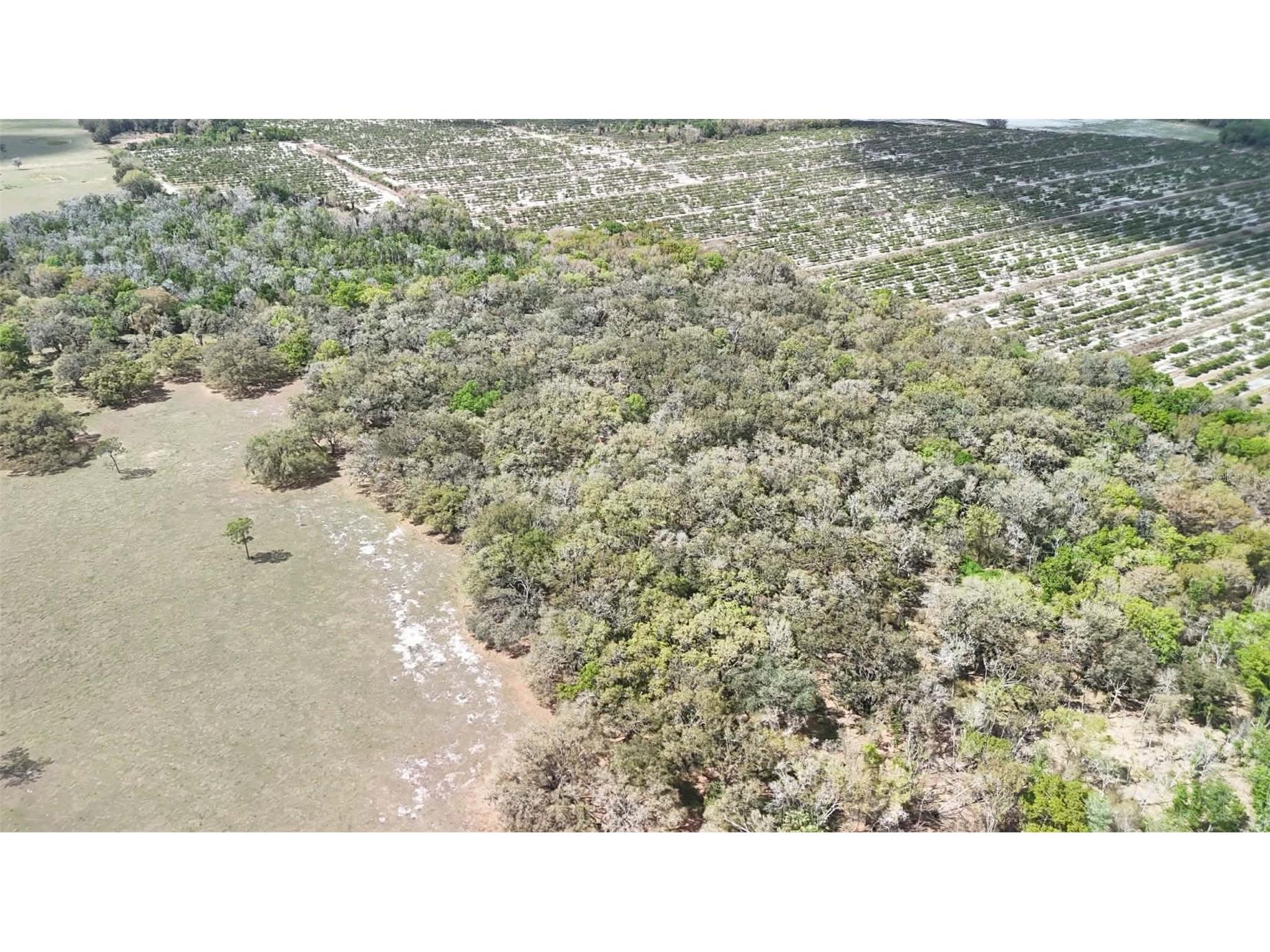 Gillette Road Zolfo Springs FL 33890 P4938092 image58