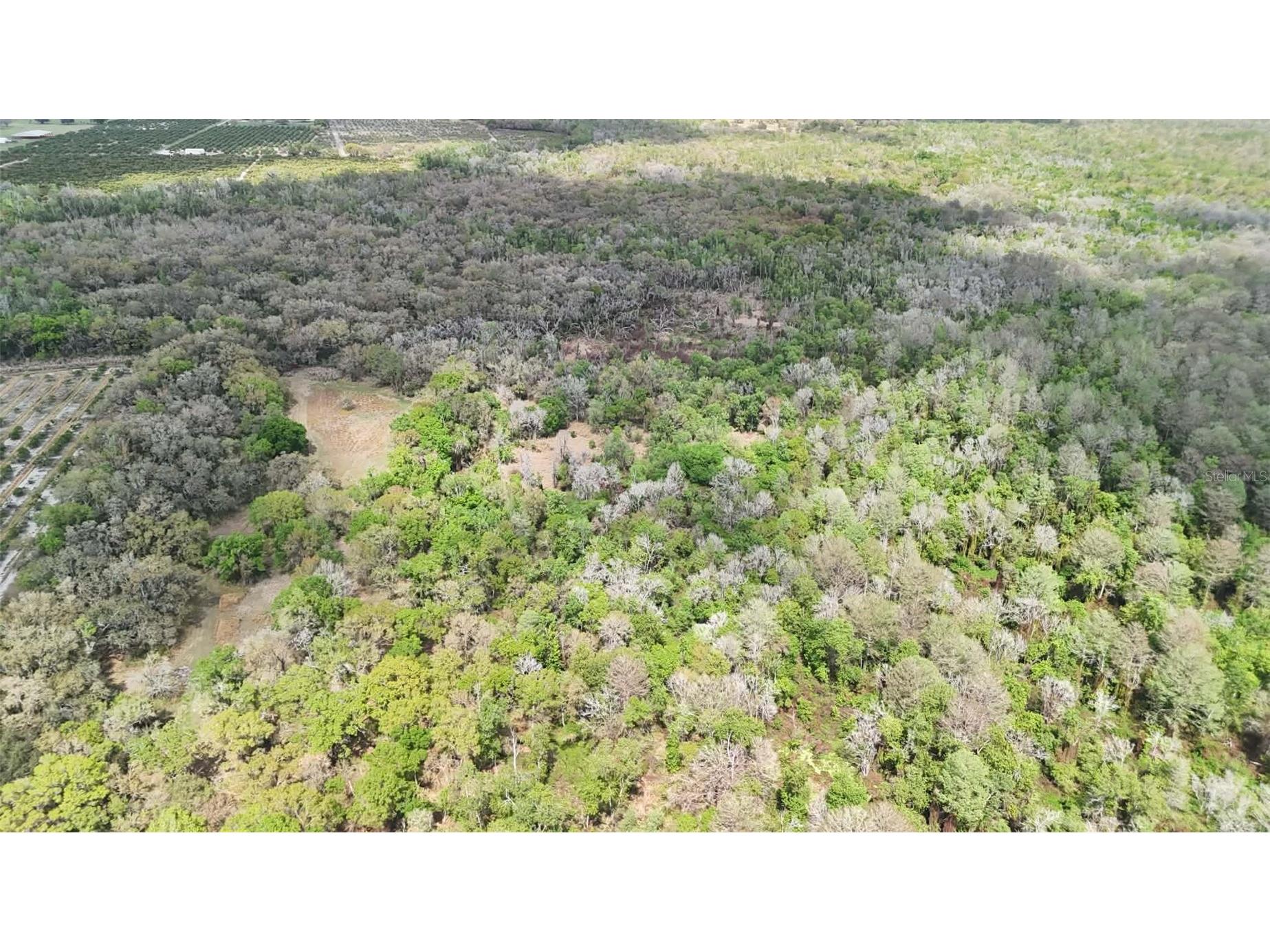 Gillette Road Zolfo Springs FL 33890 P4938092 image59