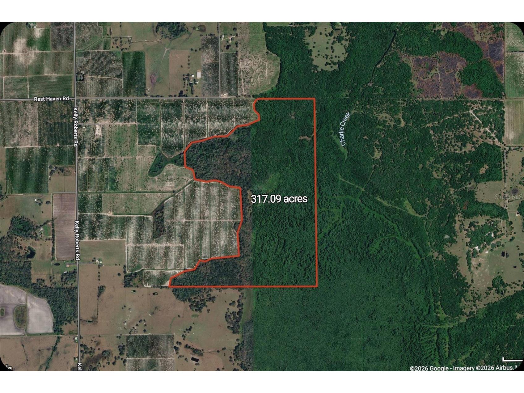 Gillette Road Zolfo Springs FL 33890 P4938092 image6