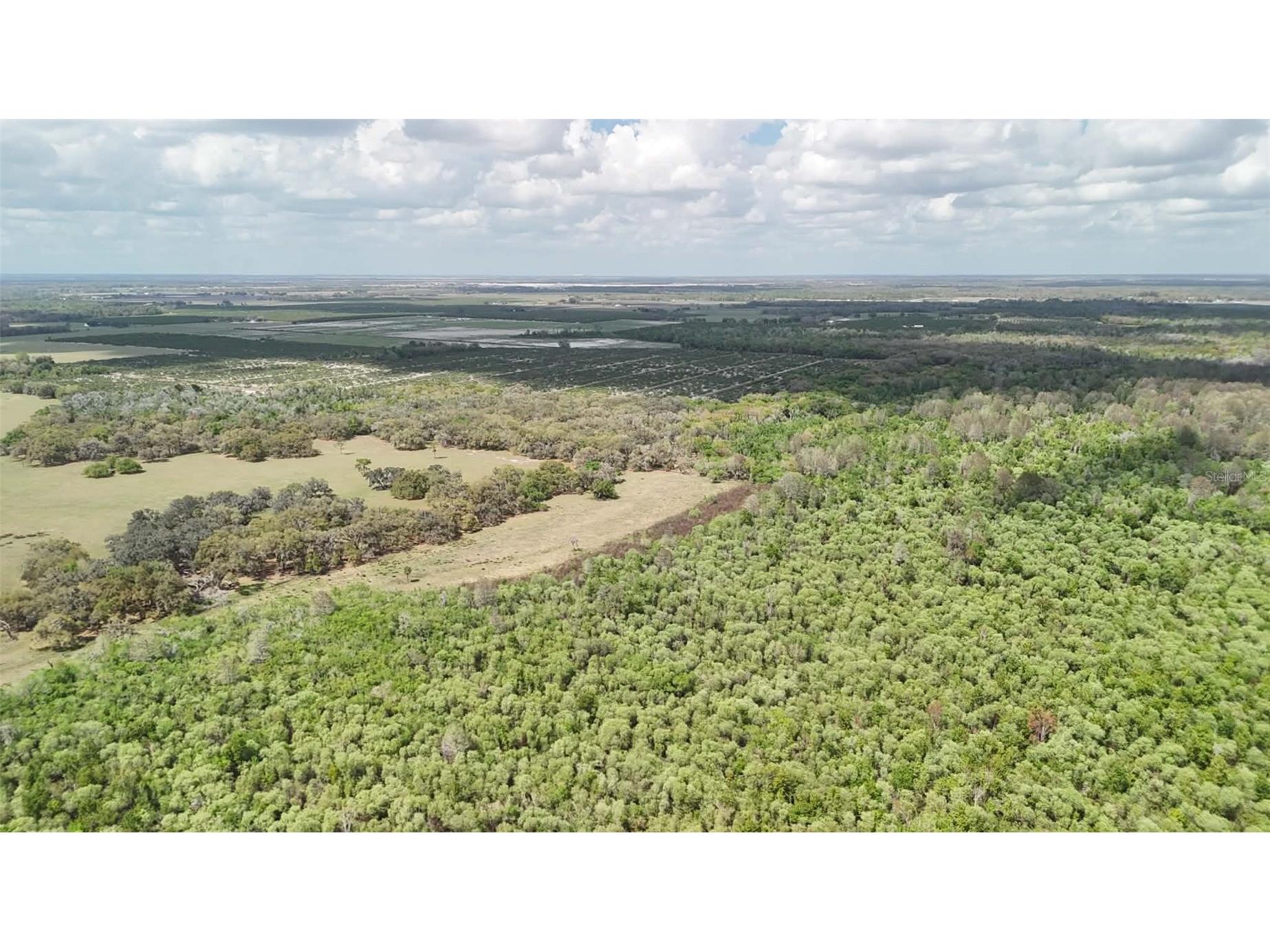 Gillette Road Zolfo Springs FL 33890 P4938092 image60