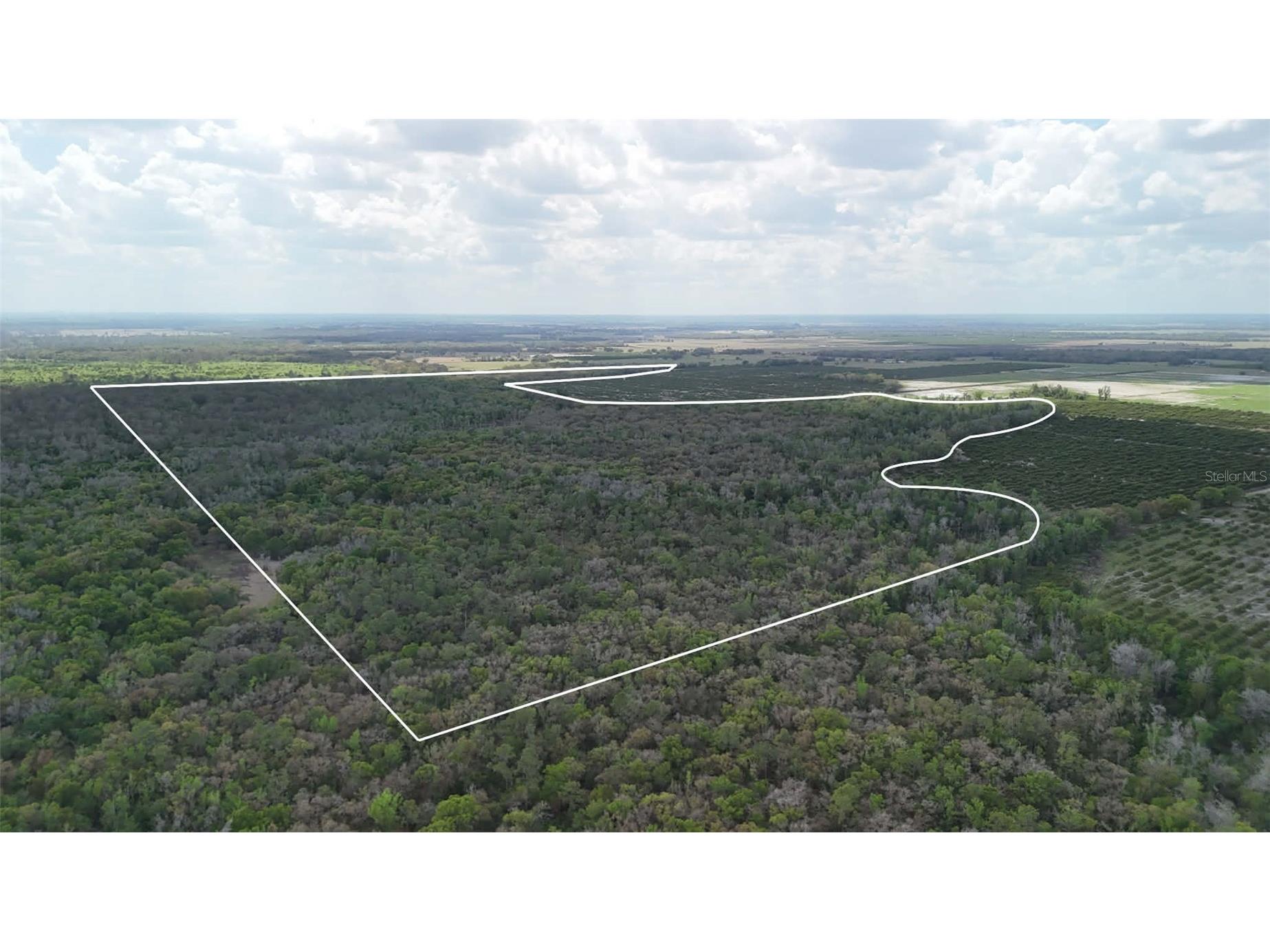 Gillette Road Zolfo Springs FL 33890 P4938092 image63