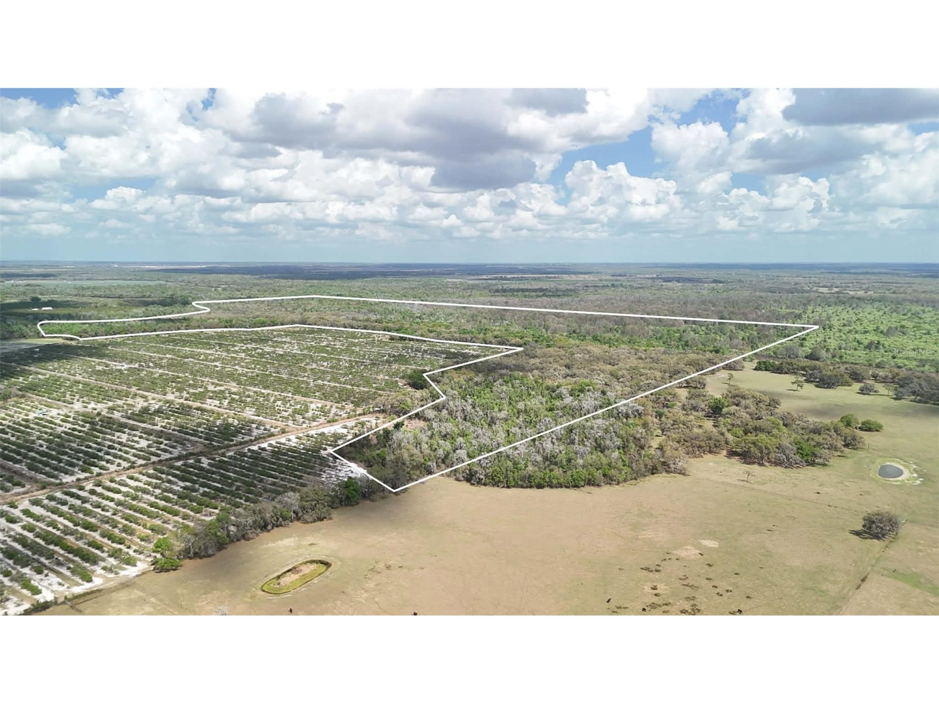 Gillette Road Zolfo Springs FL 33890 P4938092 image64