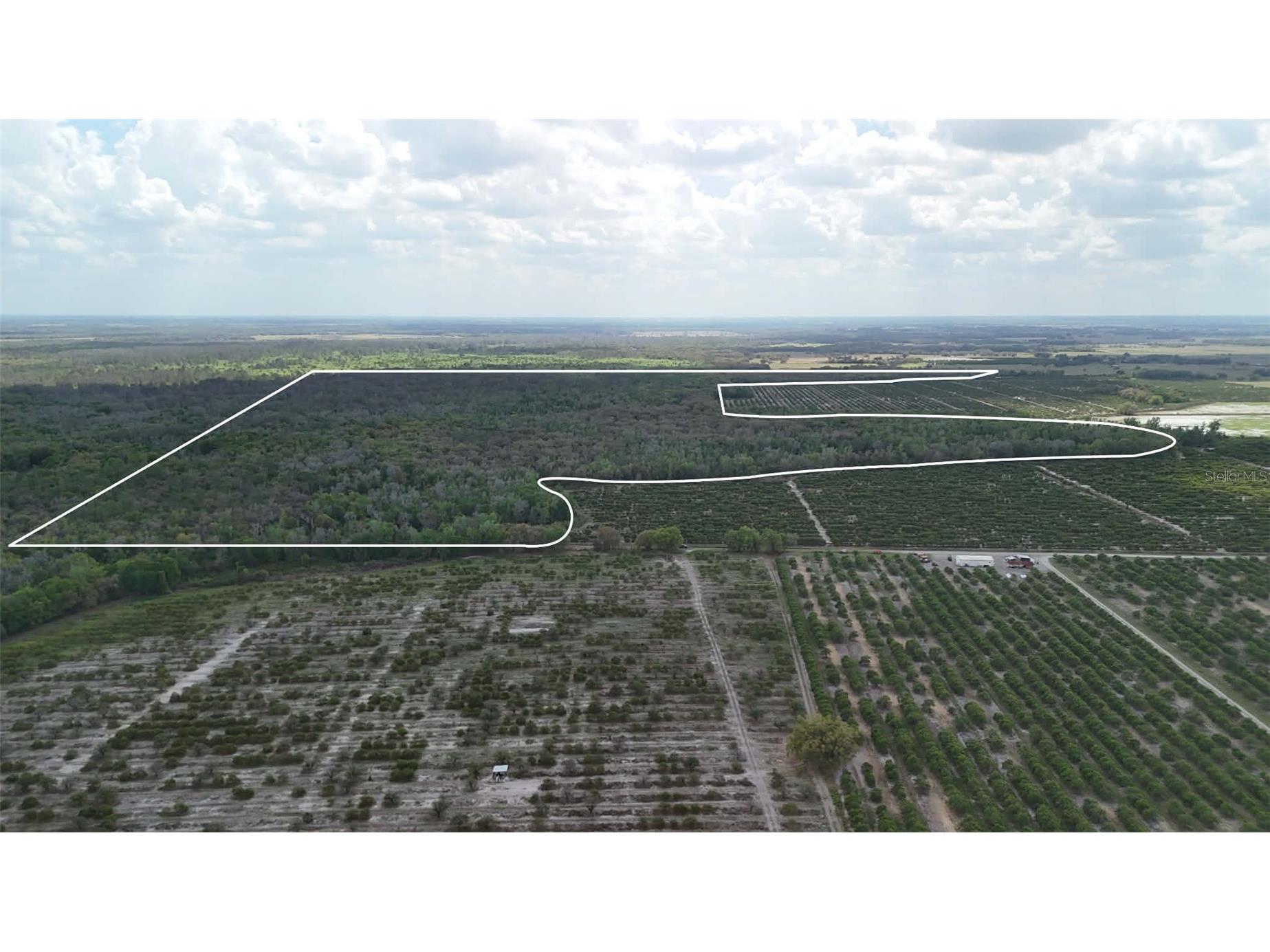 Gillette Road Zolfo Springs FL 33890 P4938092 image65