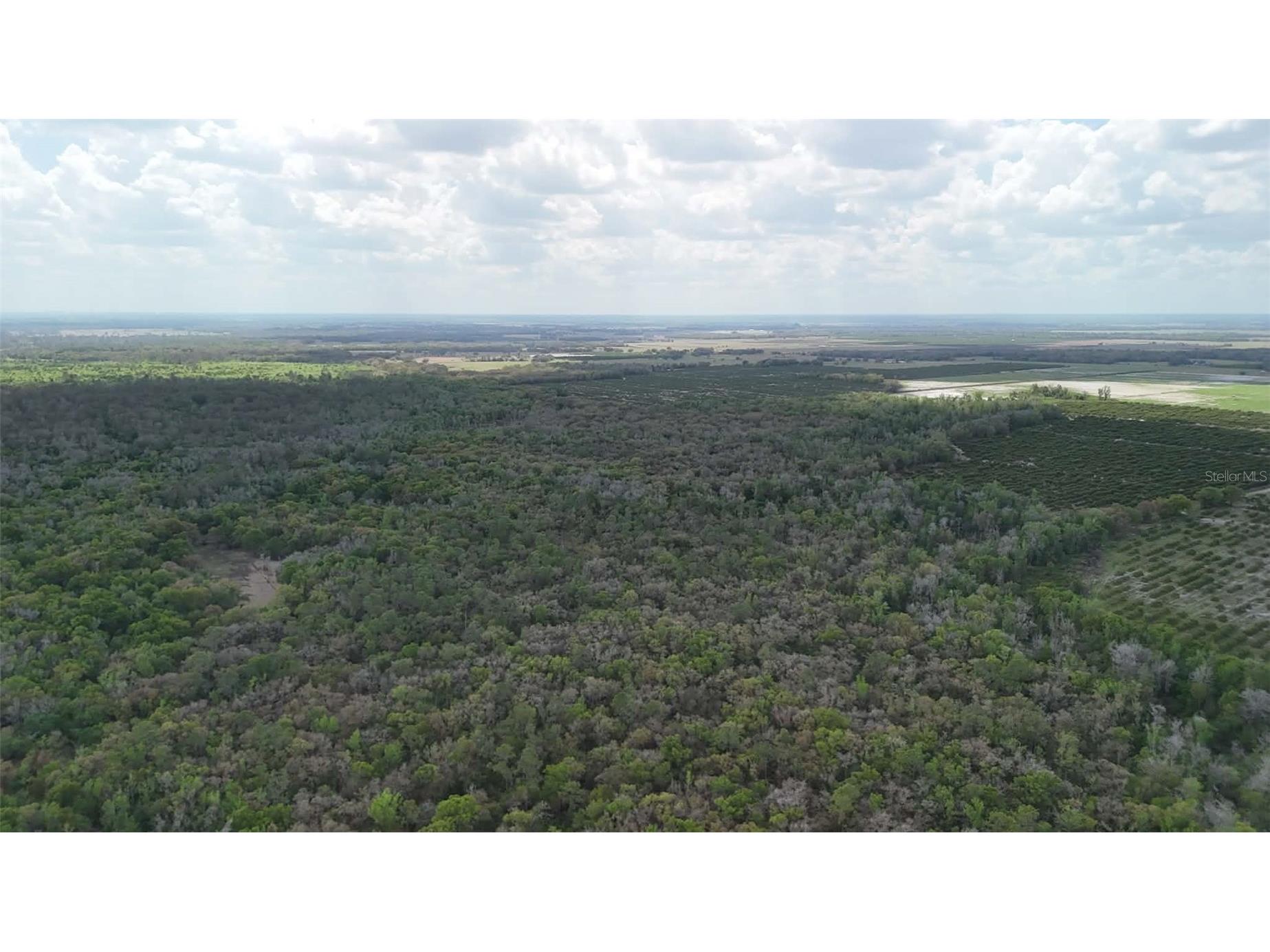 Gillette Road Zolfo Springs FL 33890 P4938092 image66