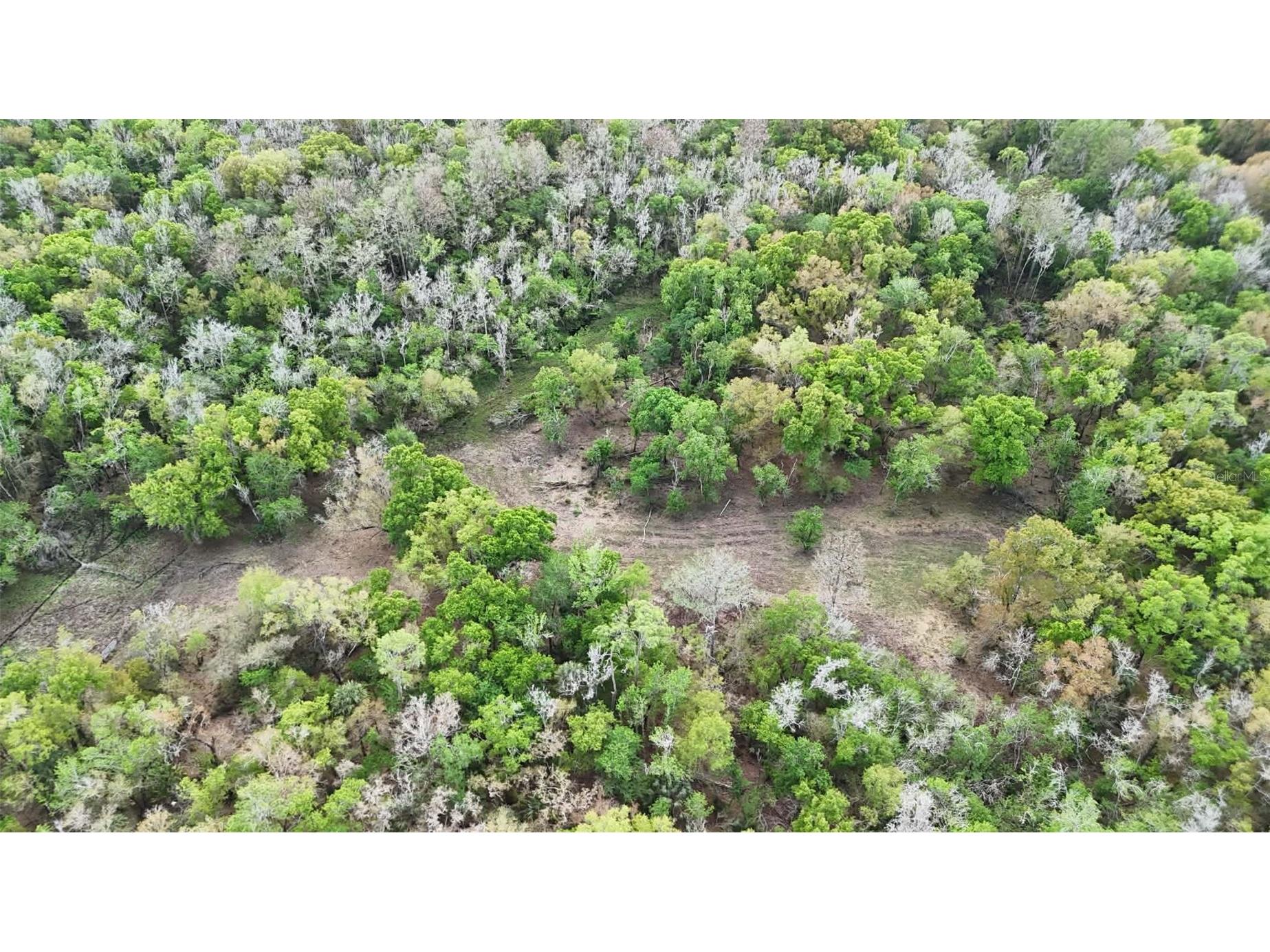 Gillette Road Zolfo Springs FL 33890 P4938092 image67