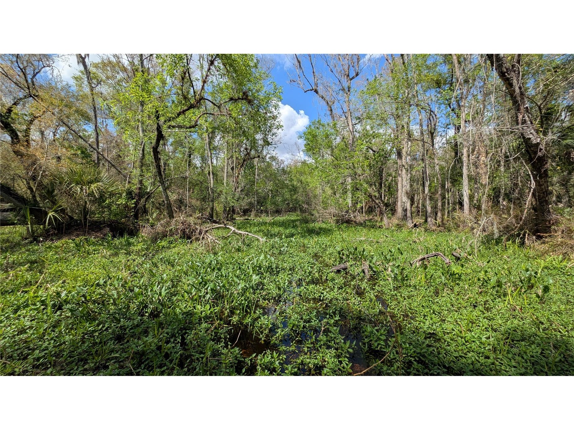 Gillette Road Zolfo Springs FL 33890 P4938092 image68