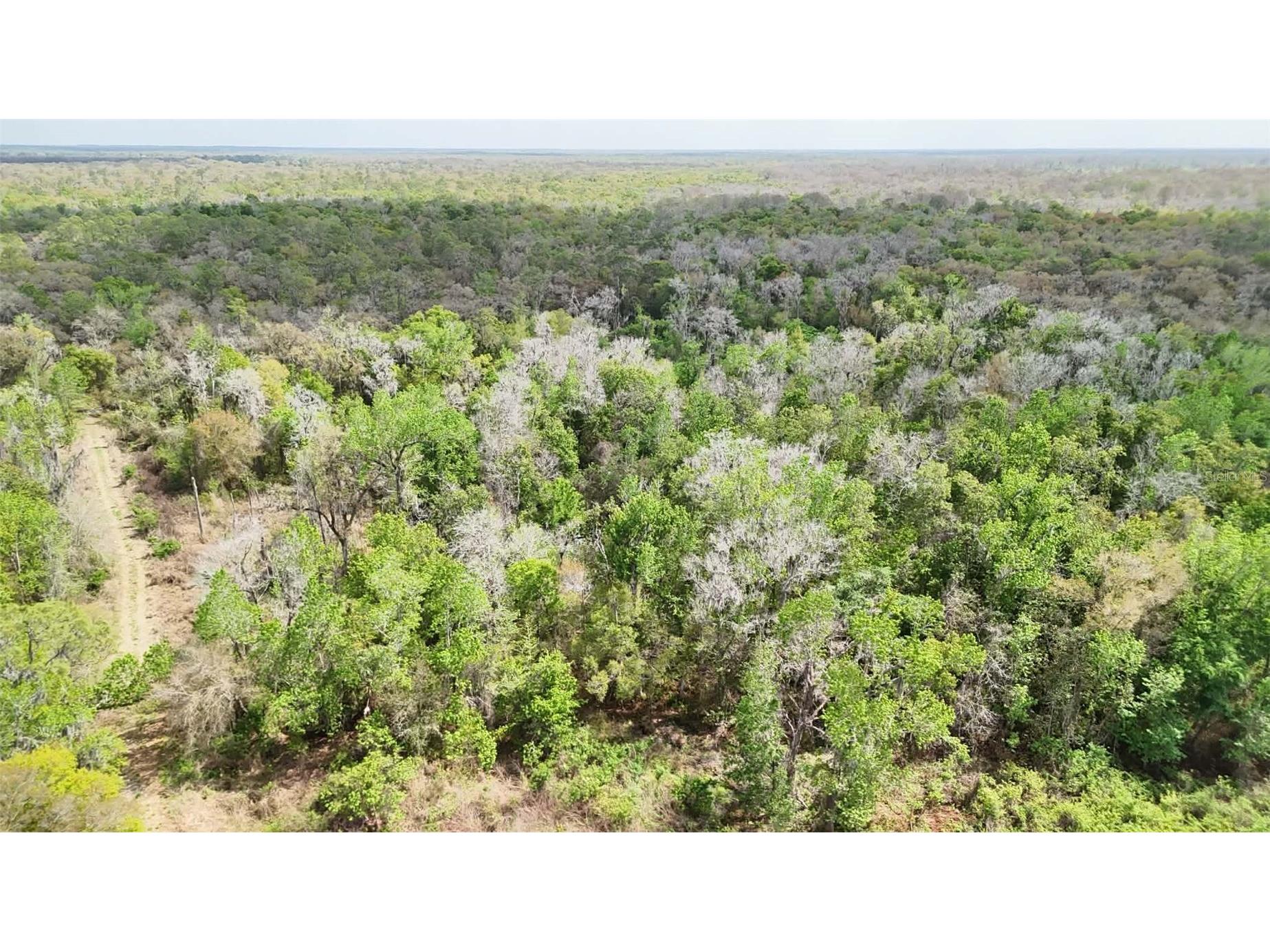 Gillette Road Zolfo Springs FL 33890 P4938092 image7