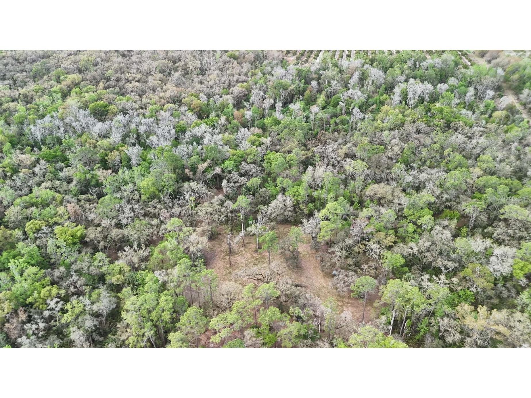 Gillette Road Zolfo Springs FL 33890 P4938092 image70