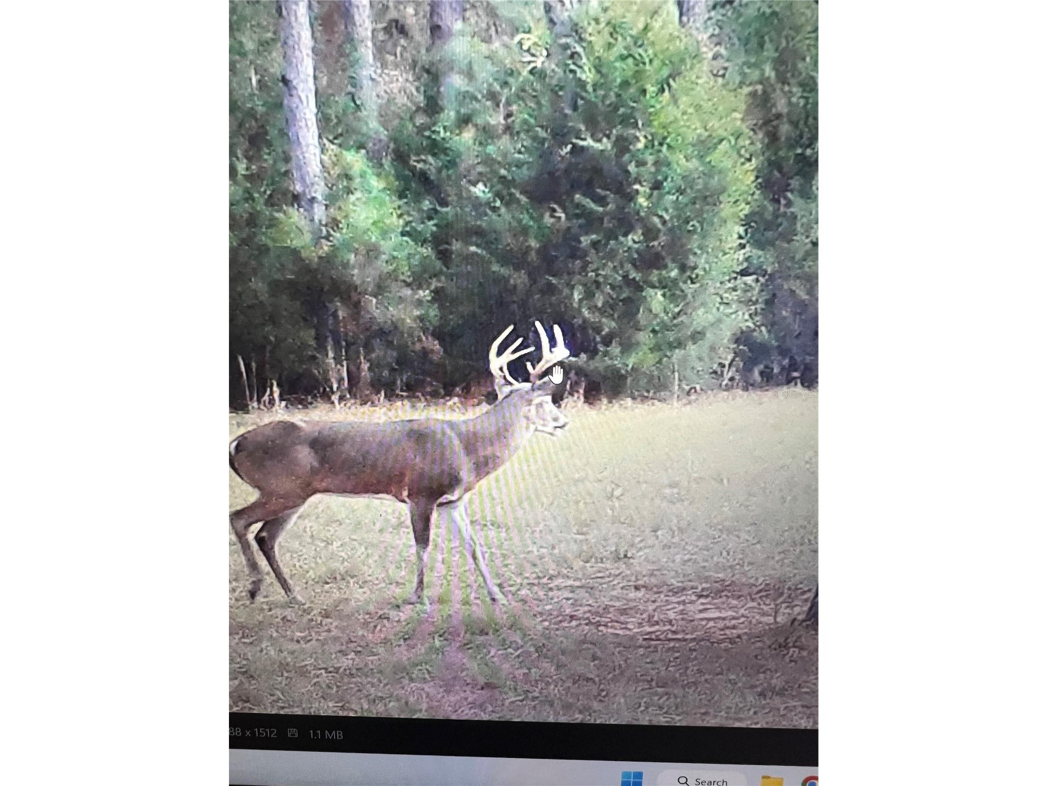 Gillette Road Zolfo Springs FL 33890 P4938092 image73