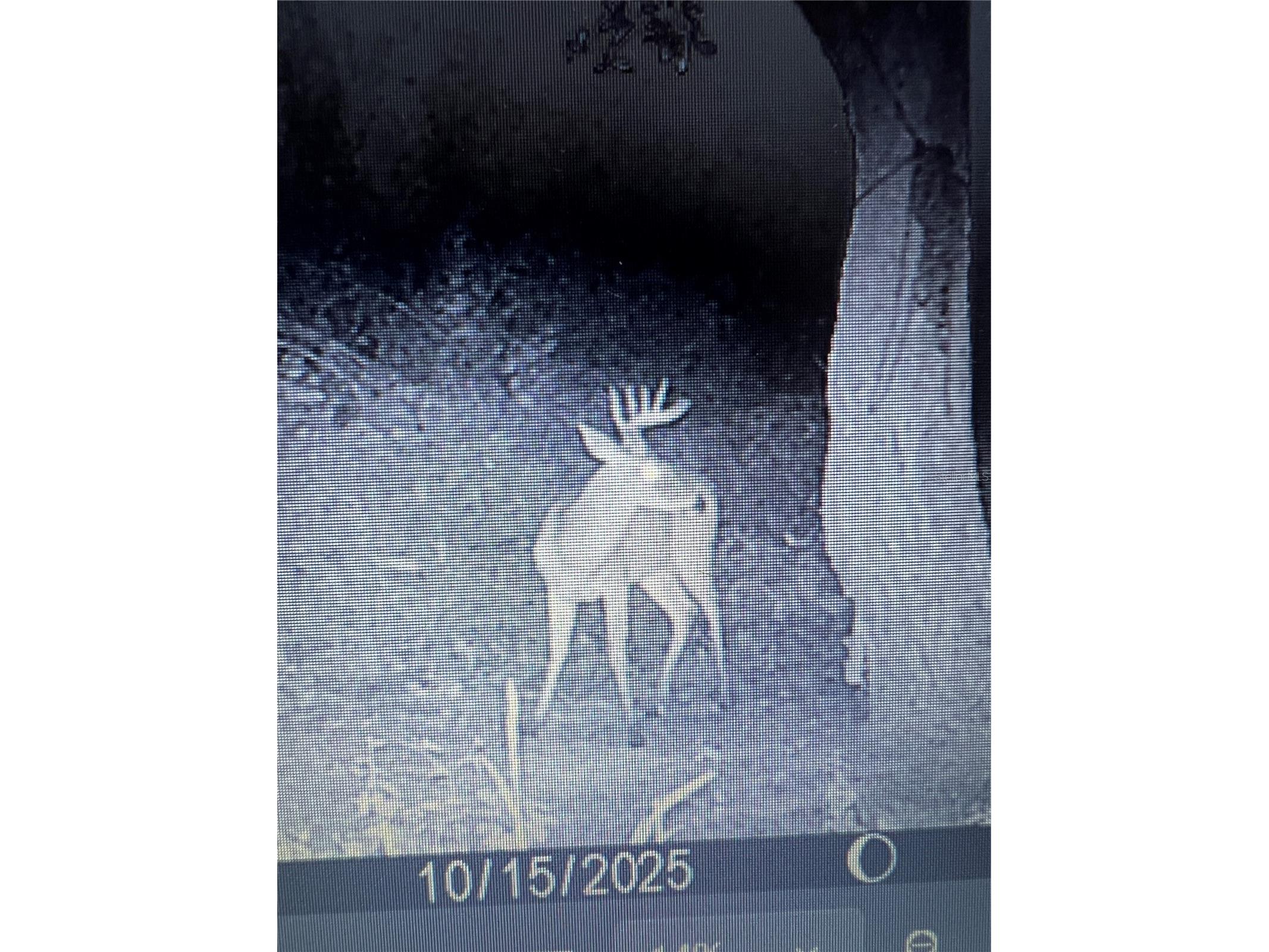 Gillette Road Zolfo Springs FL 33890 P4938092 image74