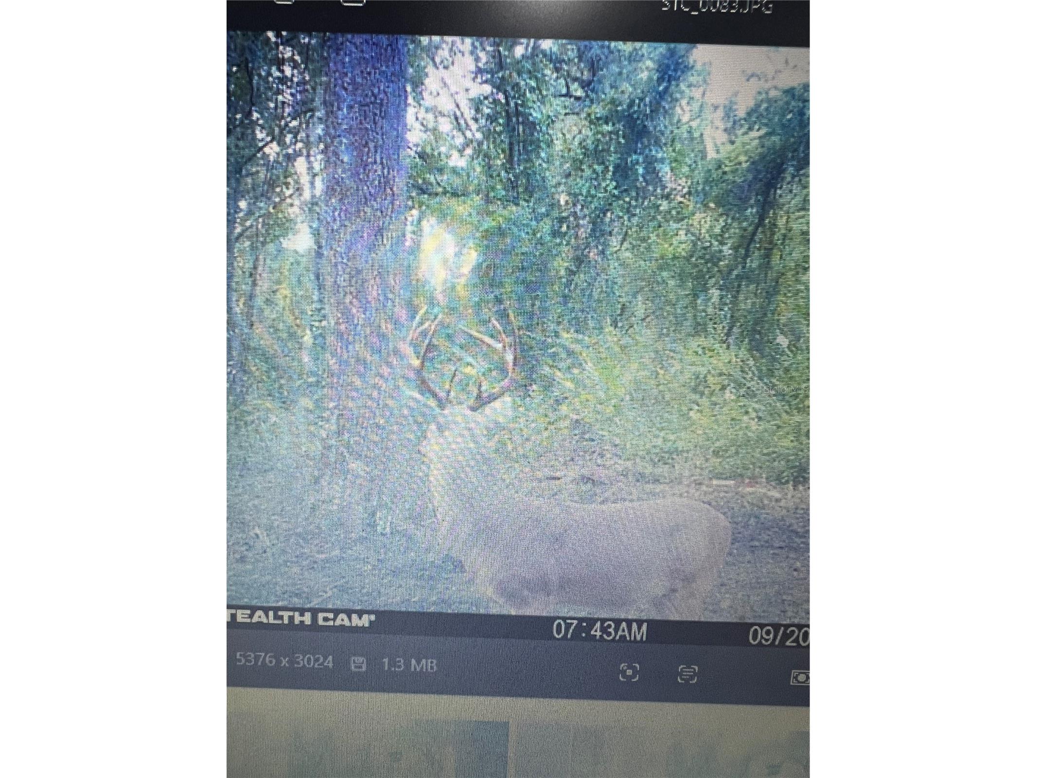 Gillette Road Zolfo Springs FL 33890 P4938092 image75