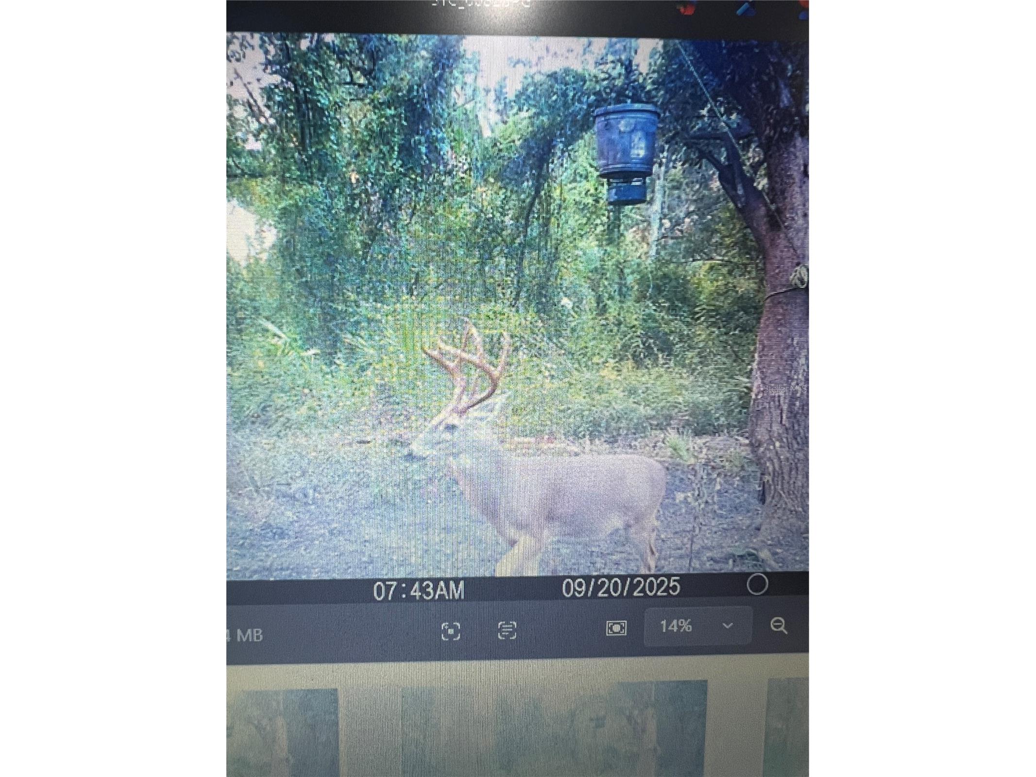 Gillette Road Zolfo Springs FL 33890 P4938092 image76