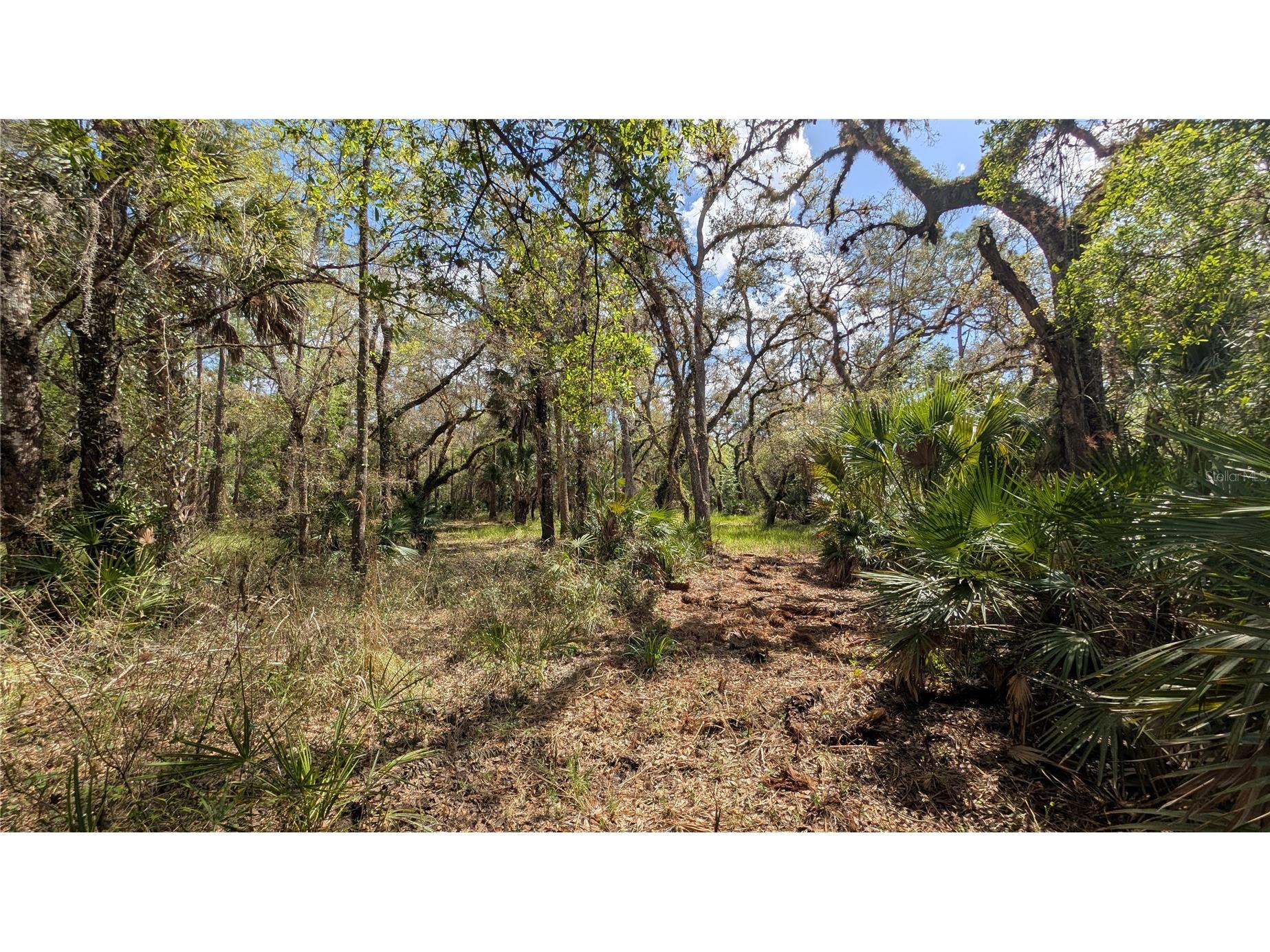 Gillette Road Zolfo Springs FL 33890 P4938092 image8