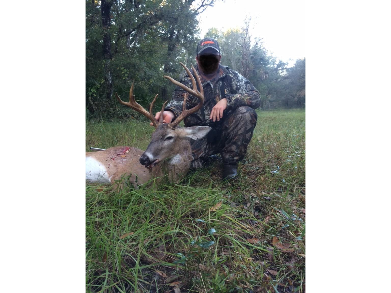 Gillette Road Zolfo Springs FL 33890 P4938092 image80