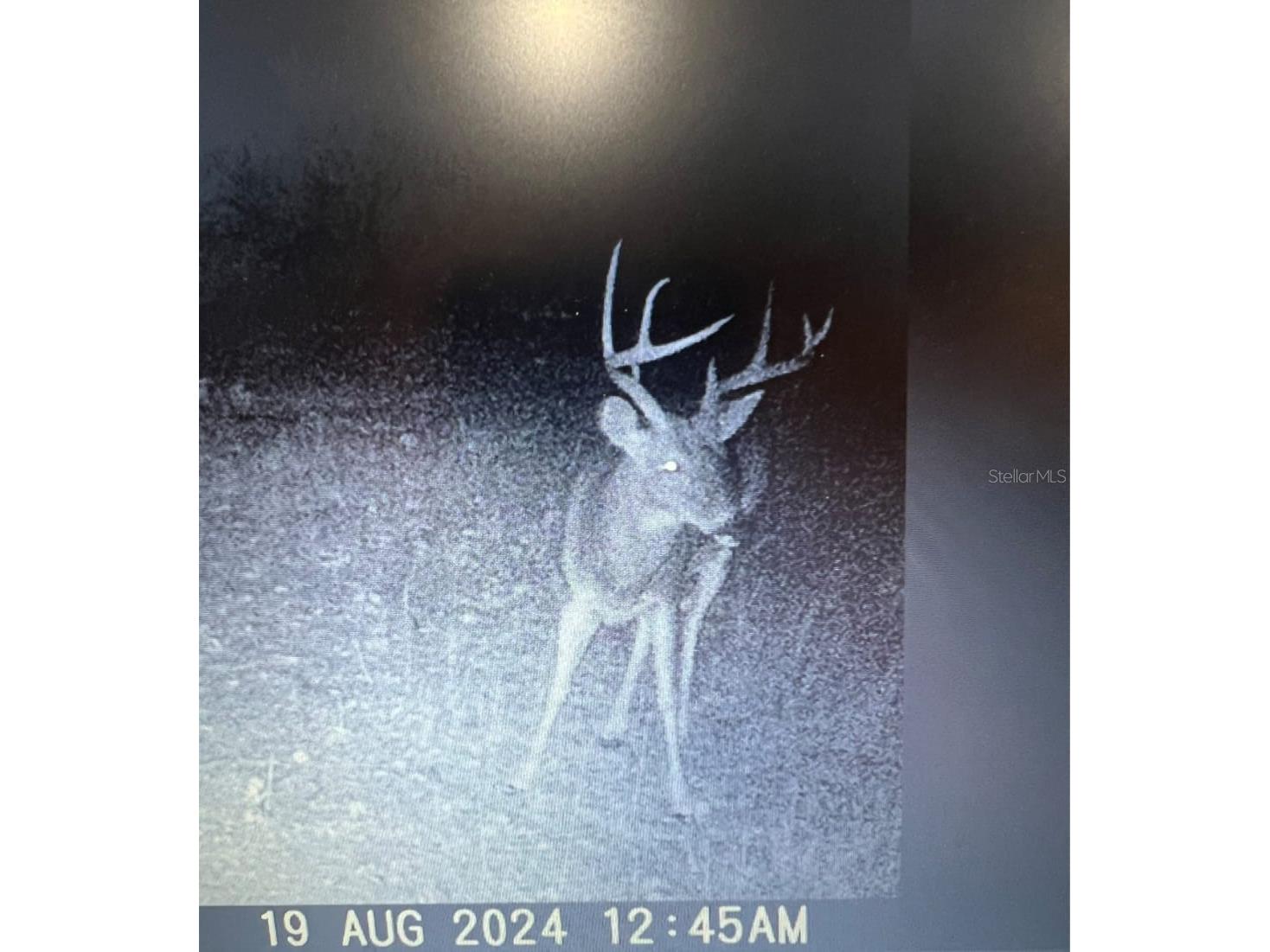 Gillette Road Zolfo Springs FL 33890 P4938092 image83