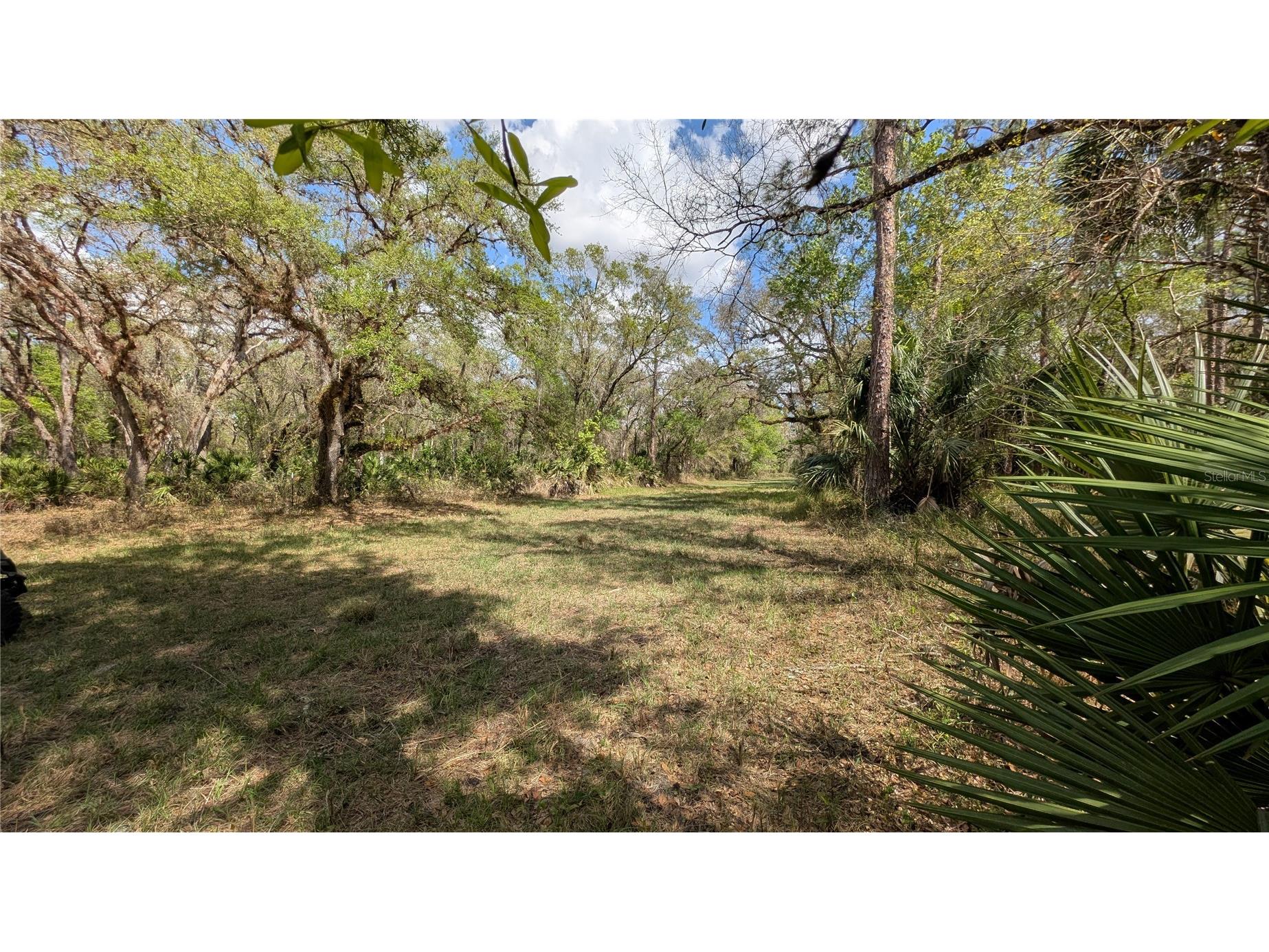 Gillette Road Zolfo Springs FL 33890 P4938092 image9