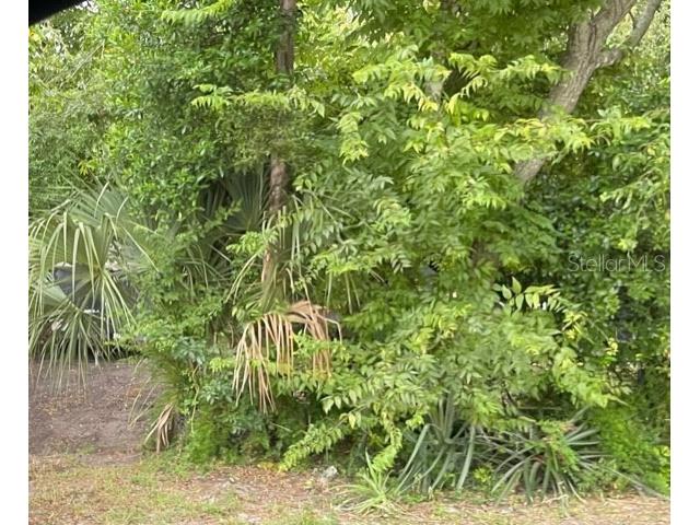 Ginsberg Drive Daytona Beach FL 32114 T3553052 image1