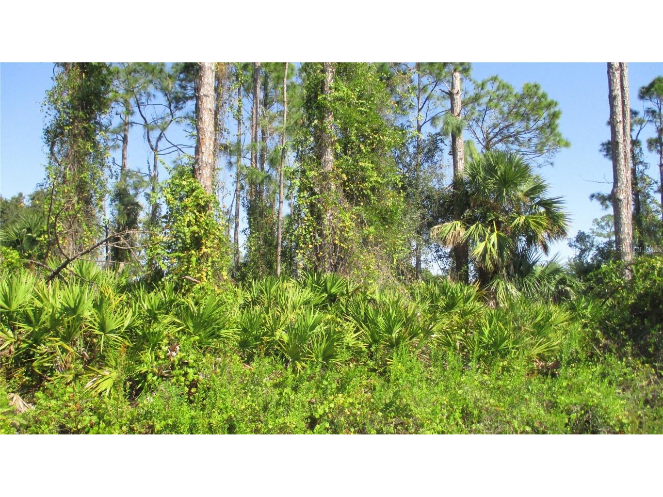 Ginsburg Terrace North Port FL 34287 N6129326 image1