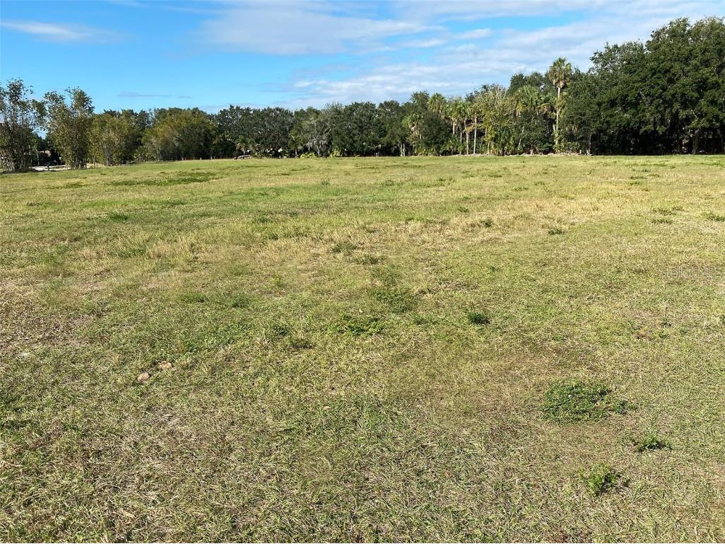 Gladys Garden Court Windermere FL 34786 O6075988 image1