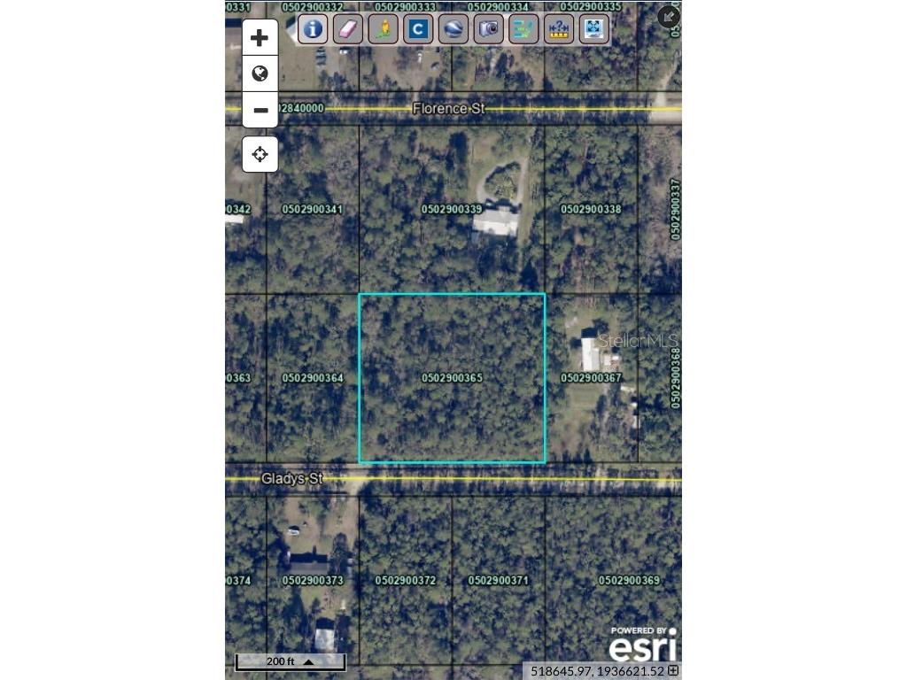 Gladys Street Hastings FL 32145 FC303074 image1