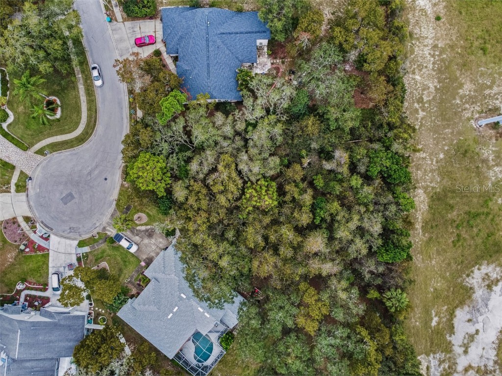 Glenbrook Lane Palm Harbor FL 34683 U8185112 image1