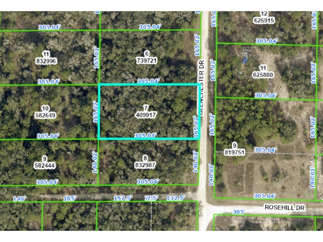 Glenchester Drive Webster FL 33597 T3504701 image1