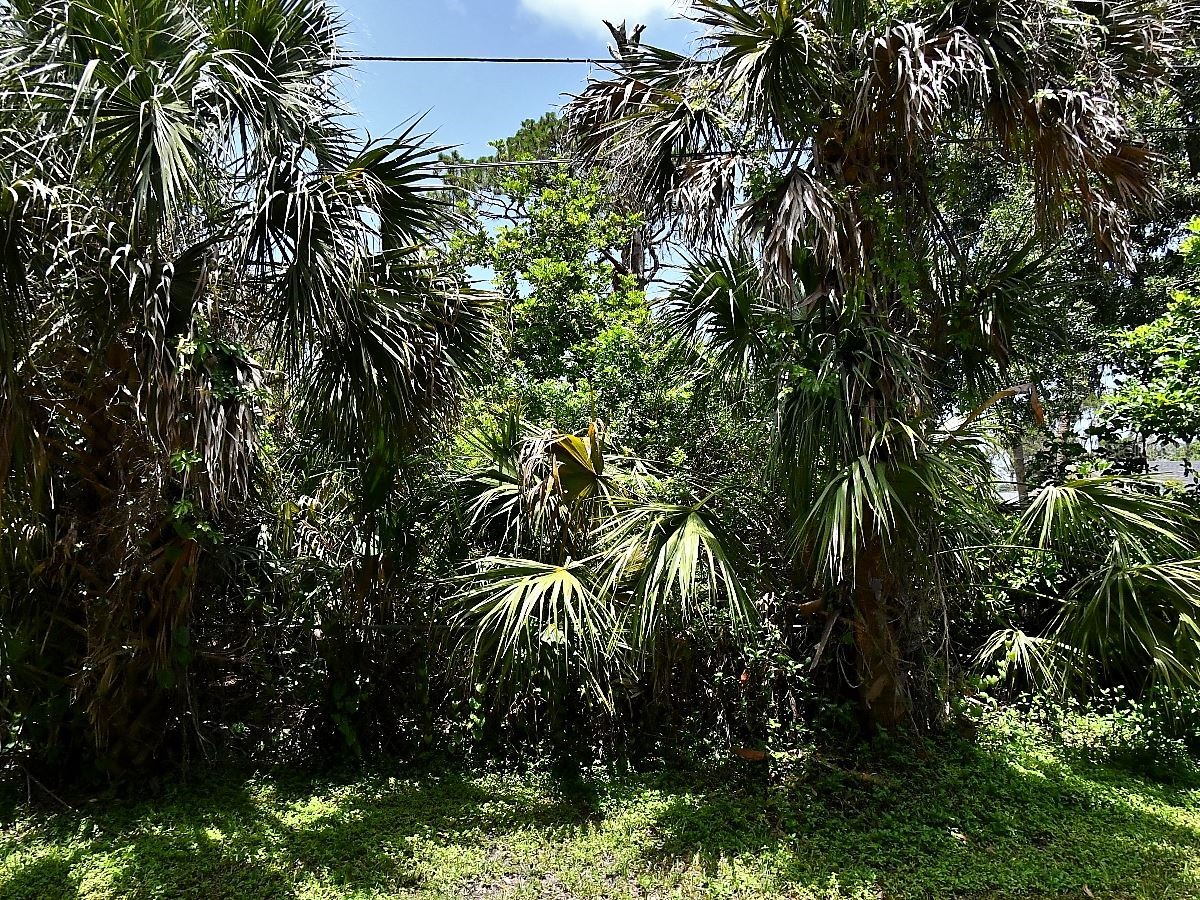 Glenwood Avenue Osprey FL 34229 N6144086 image2