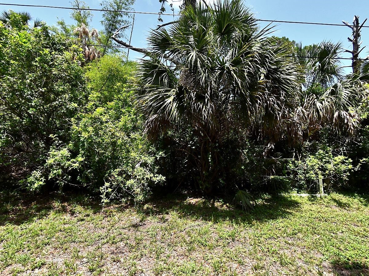 Glenwood Avenue Osprey FL 34229 N6144088 image2
