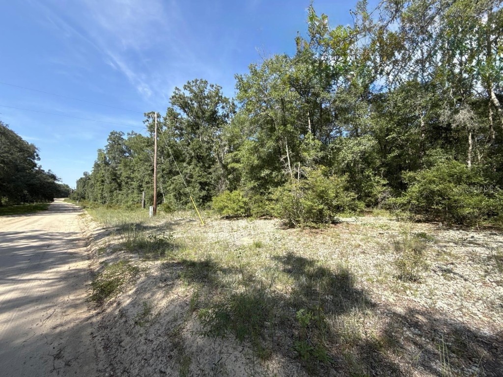 Gloria Avenue Interlachen FL 32148 TB8422890 image2