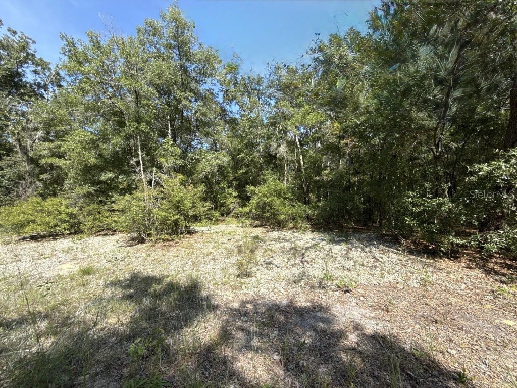 Gloria Avenue Interlachen FL 32148 TB8422890 image4