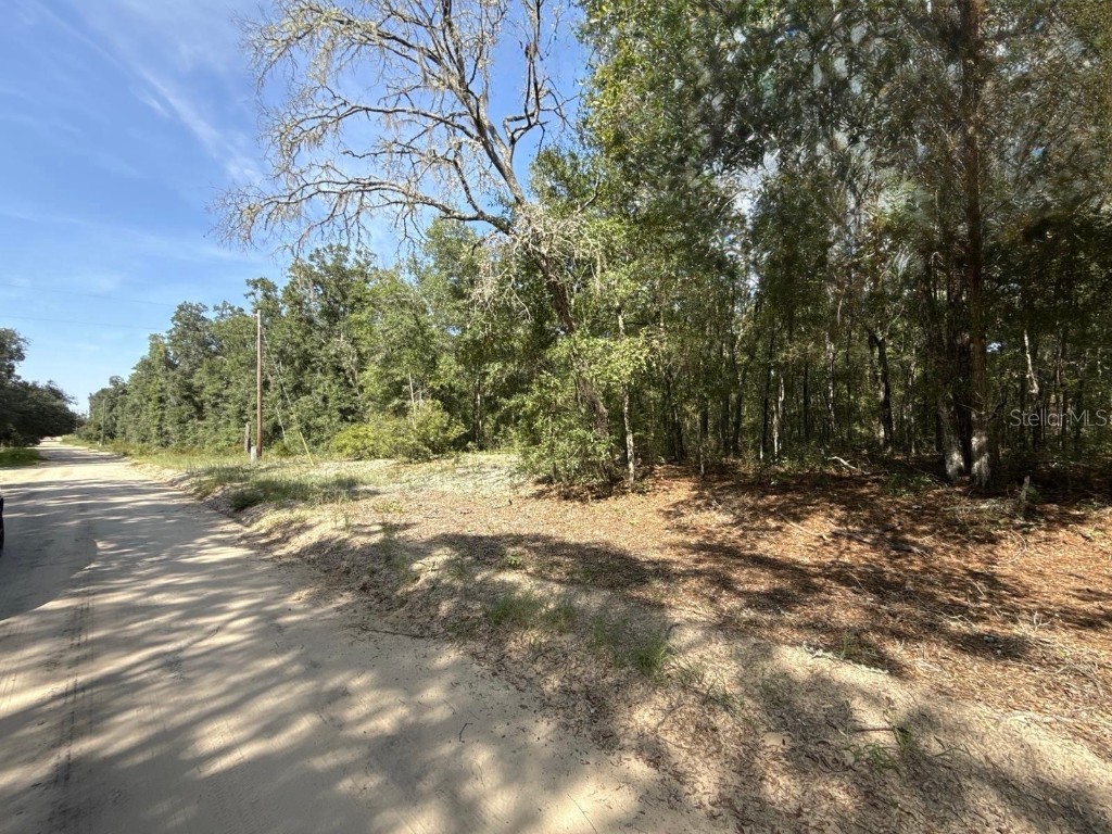 Gloria Avenue Interlachen FL 32148 TB8422890 image5