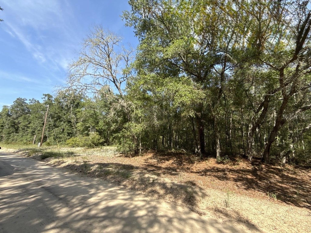 Gloria Avenue Interlachen FL 32148 TB8422890 image6