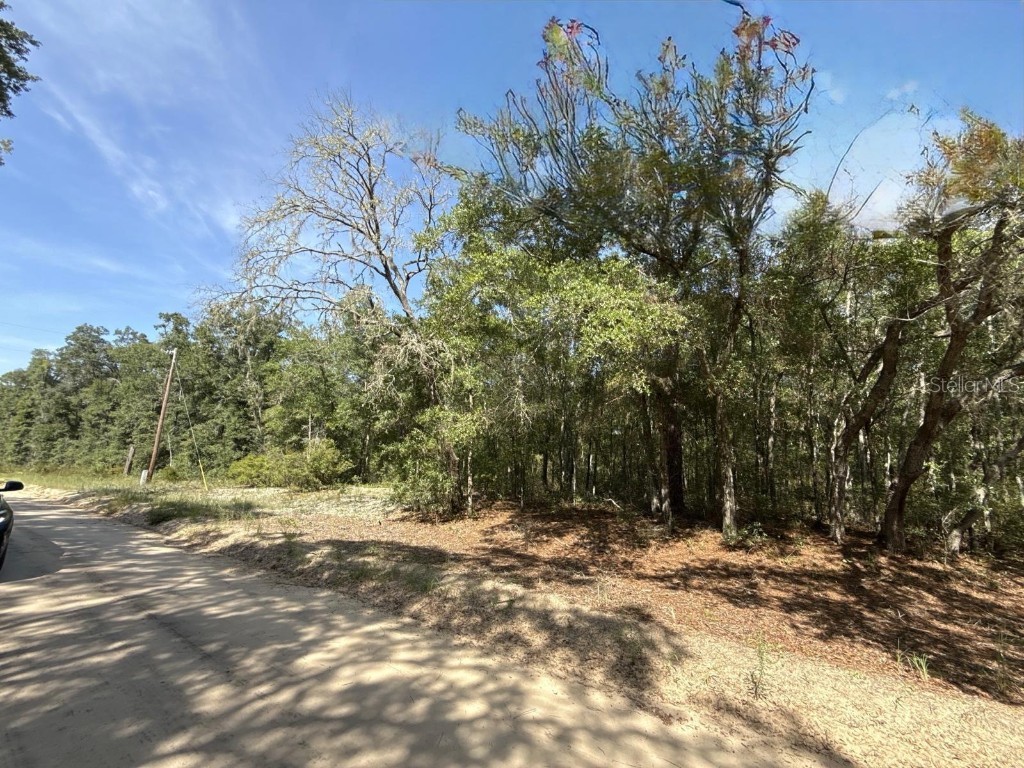 Gloria Avenue Interlachen FL 32148 TB8422890 image7