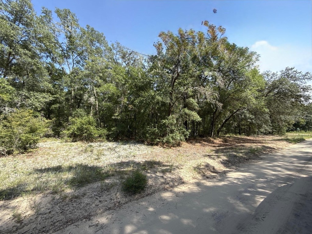Gloria Avenue Interlachen FL 32148 TB8422890 image8