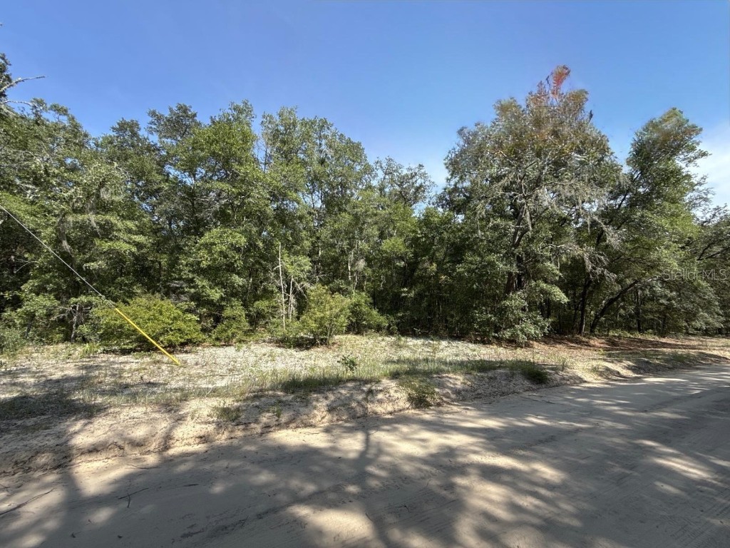 Gloria Avenue Interlachen FL 32148 TB8422890 image9