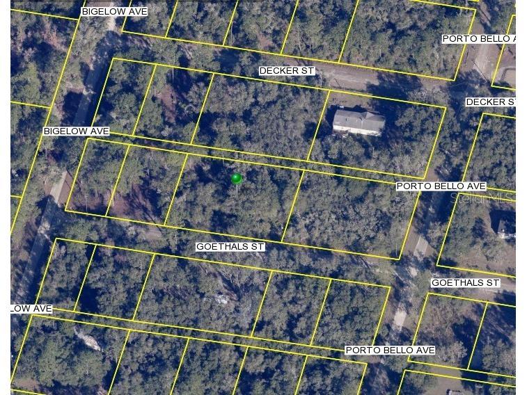 Goethals Street Webster FL 33597 O6318298 image1