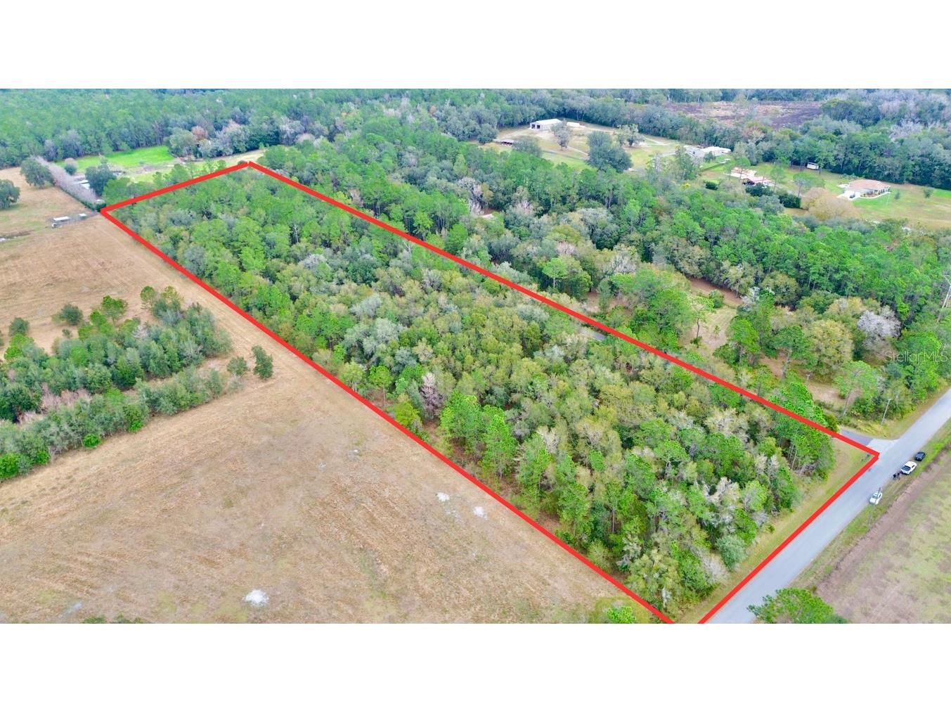 Gold Hill Road Brooksville FL 34604 T3495092 image1