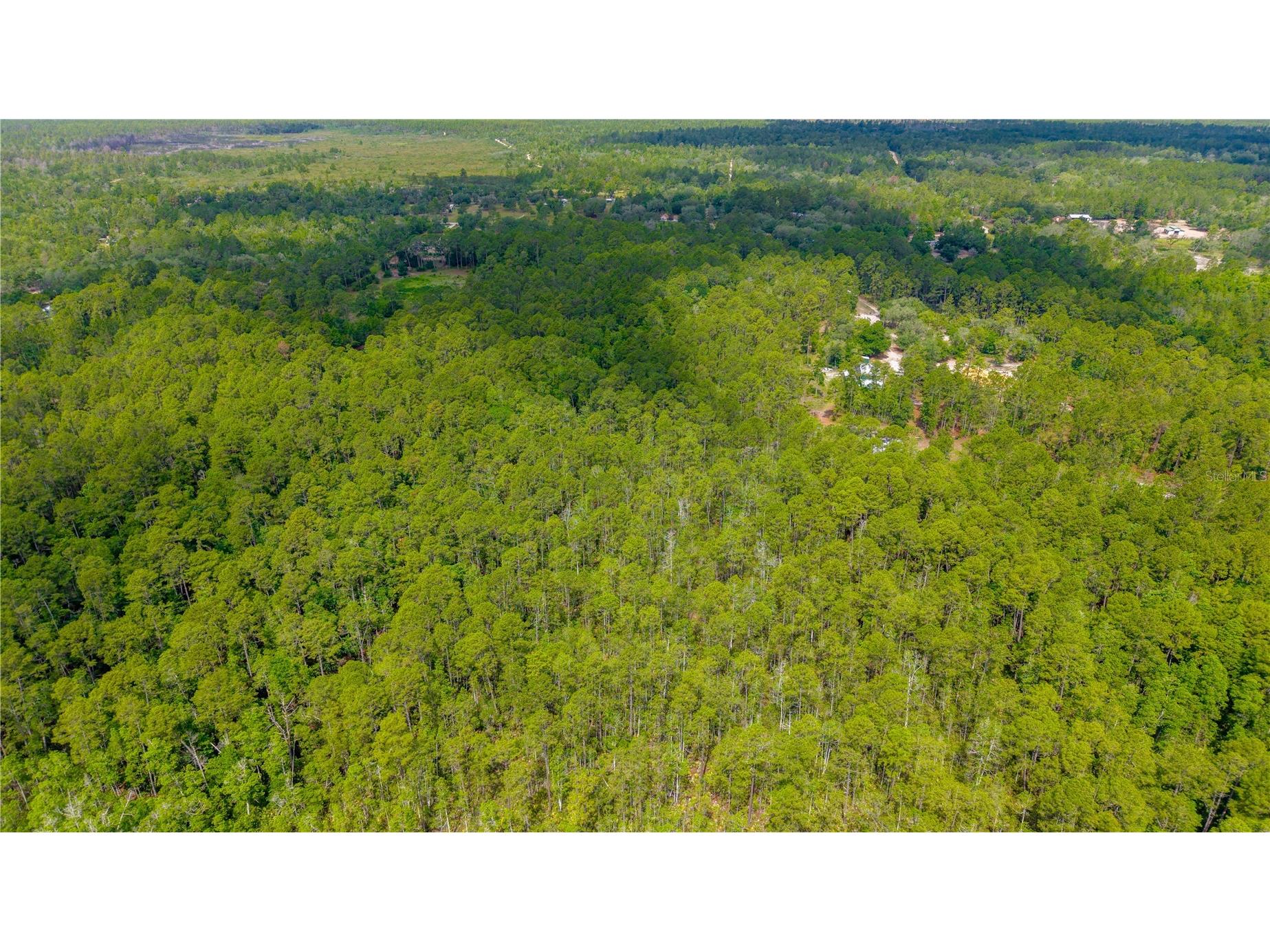 Golden Oak Lane Keystone Heights FL 32656 TB8519025 image10