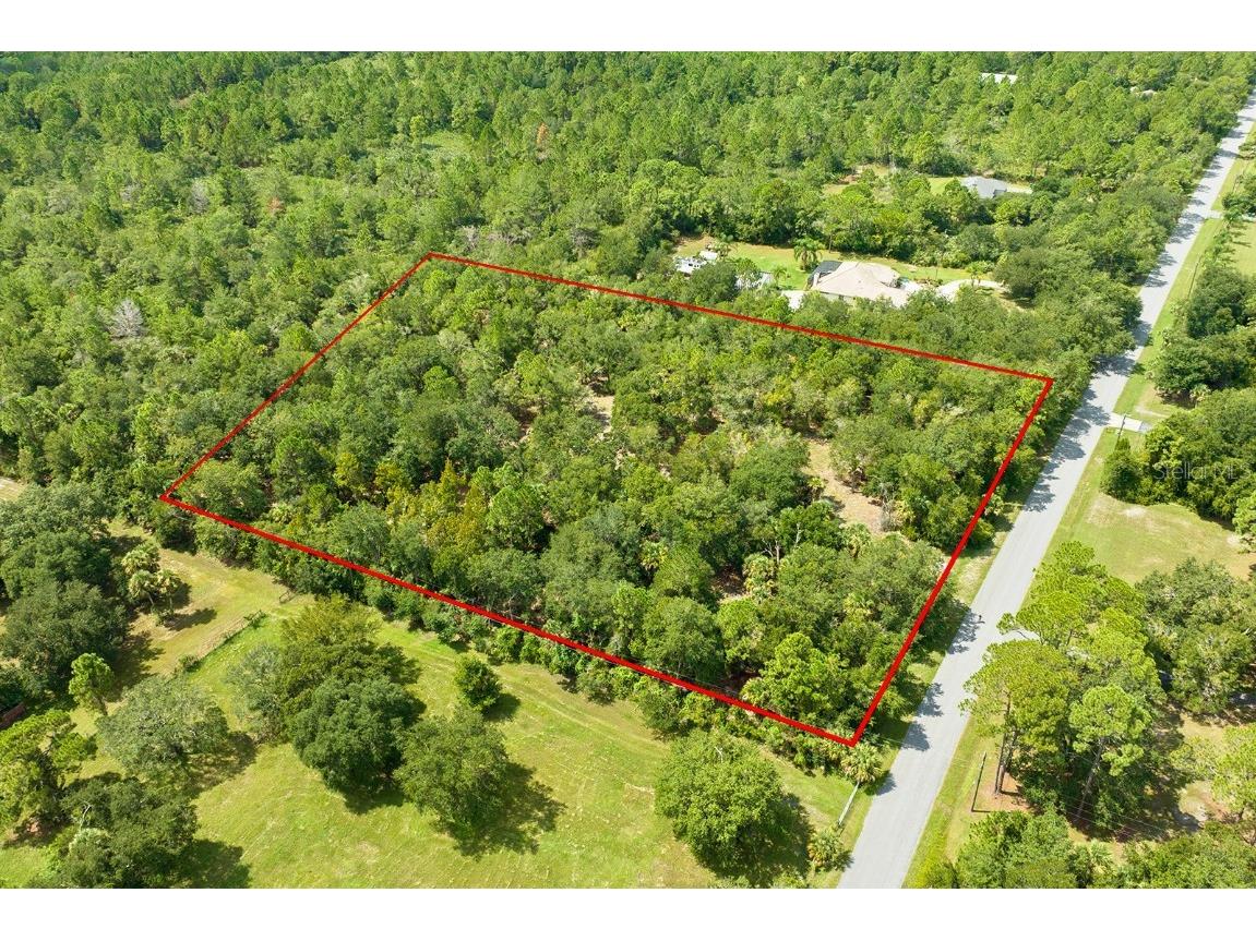 Golden Shores Boulevard Mims FL 32754 O6142447 image1